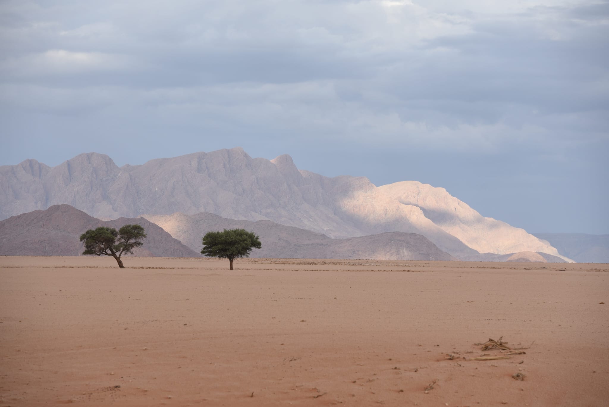 Elim dune landscape