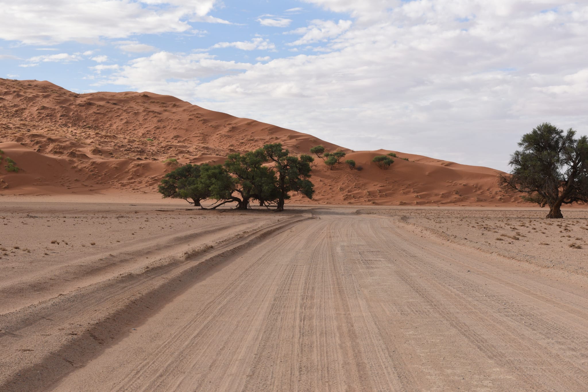 Namibian's road