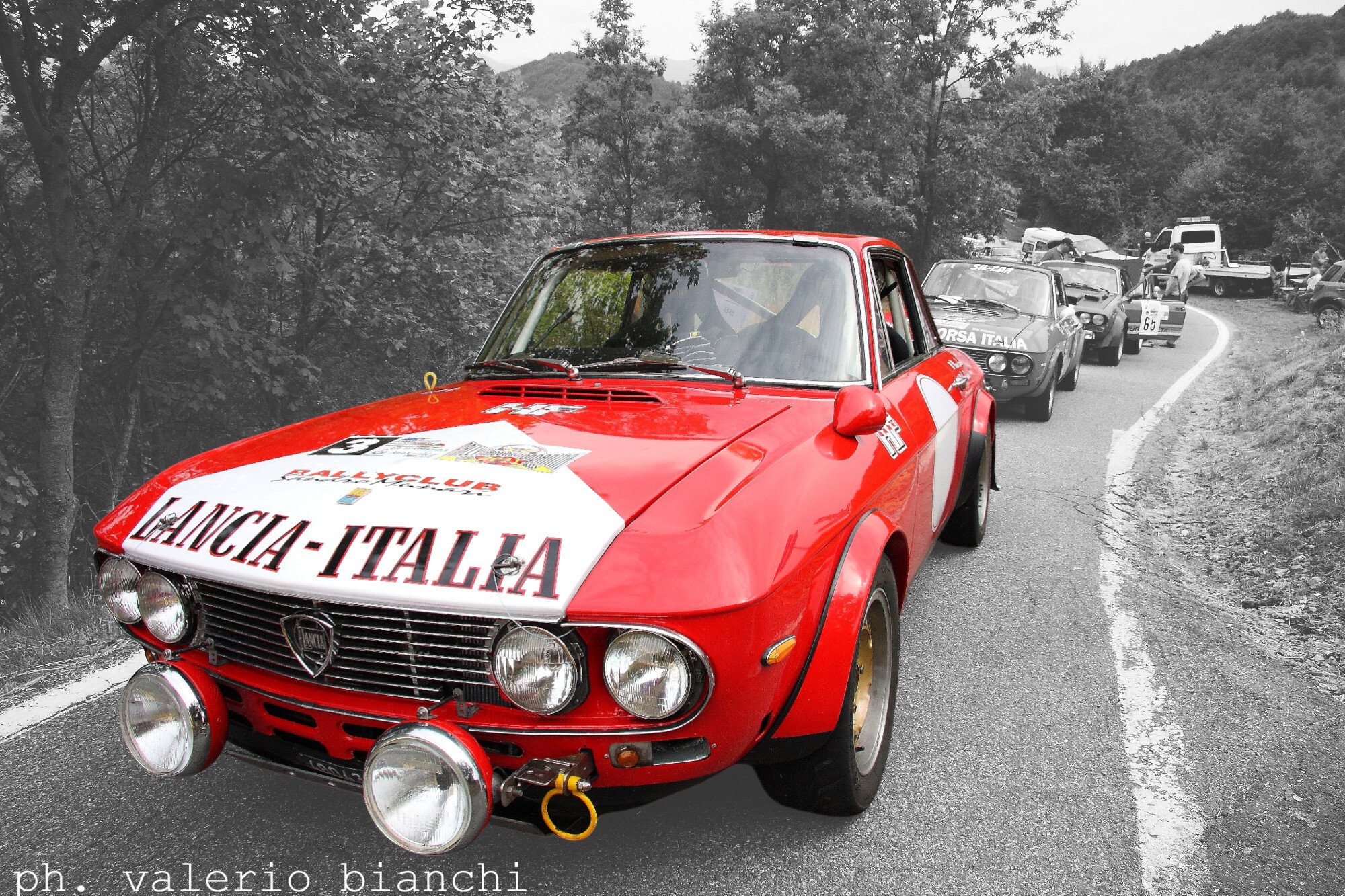Red Fulvia II