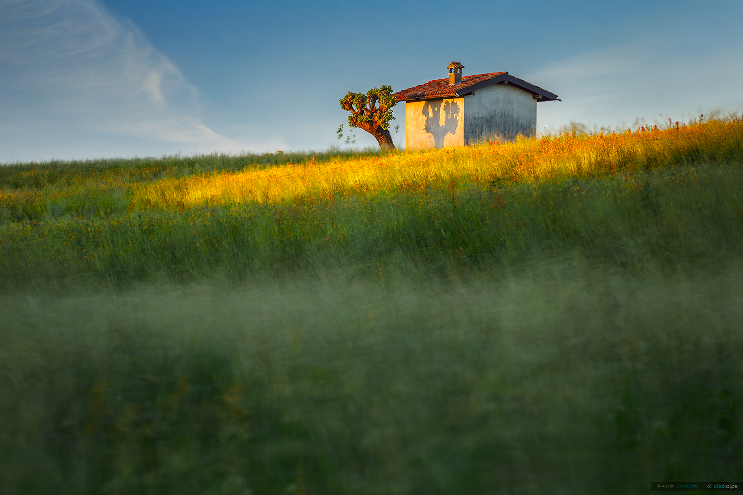 C'è una casetta piccola così...