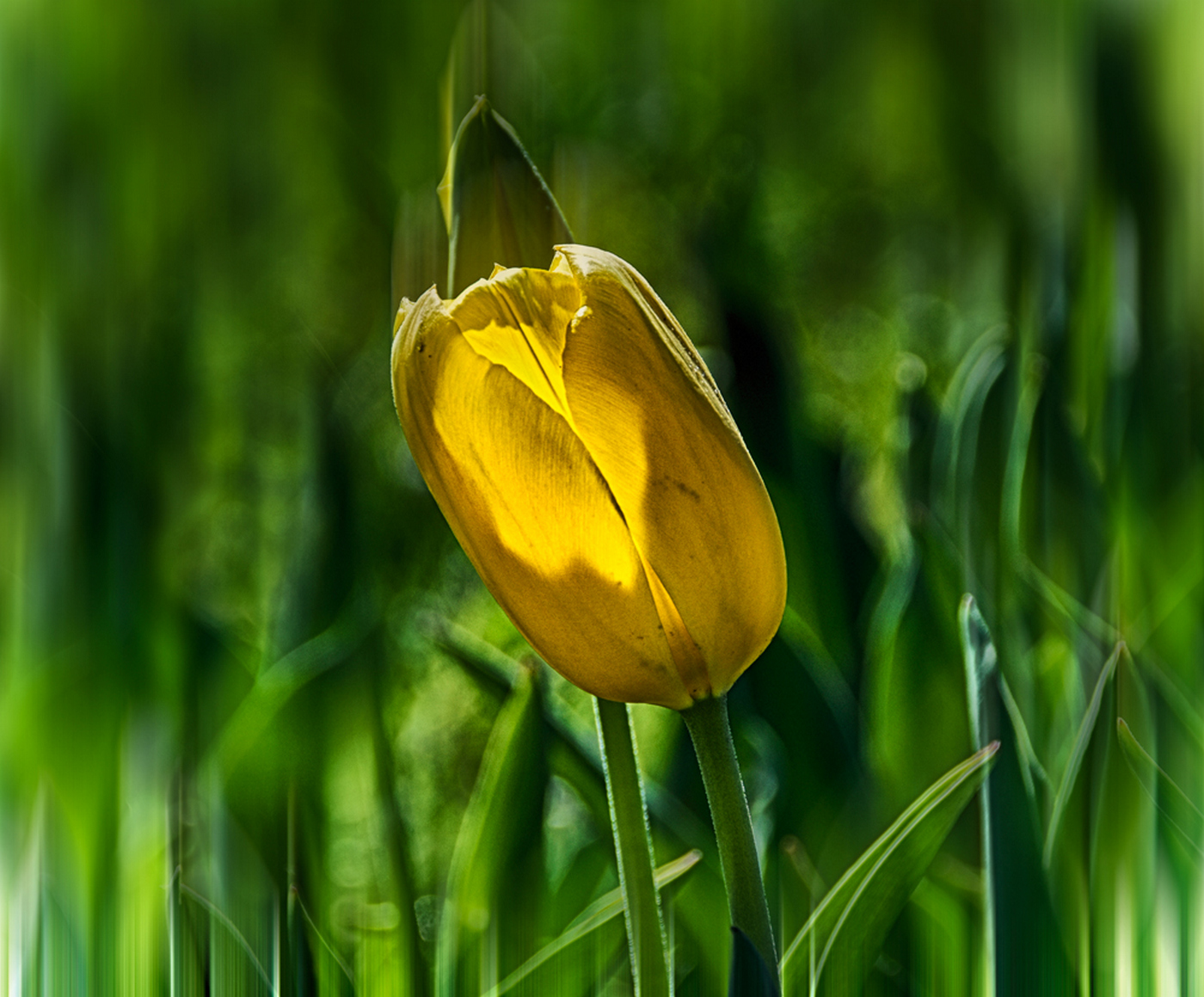 Pierced by the sun...