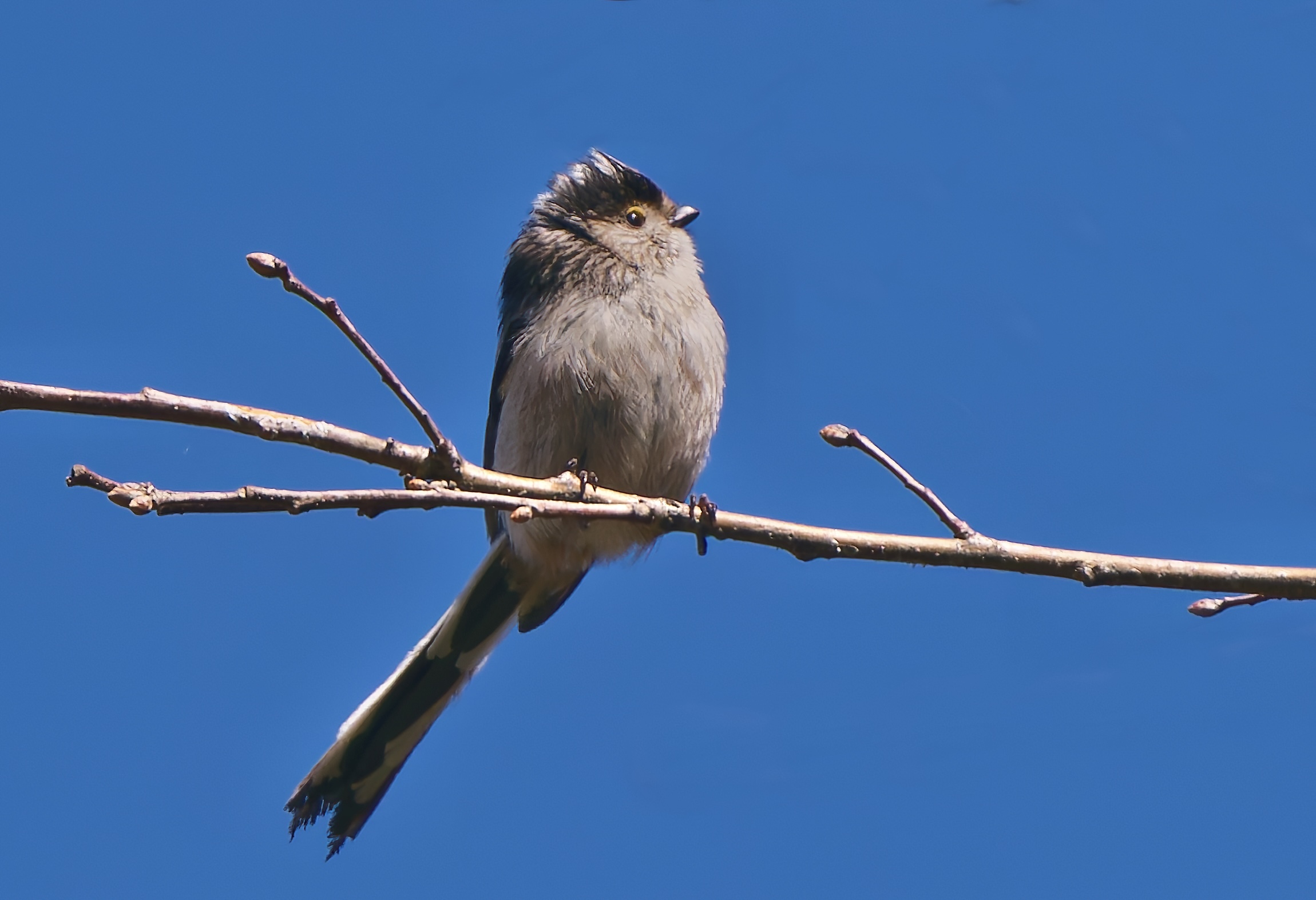 Bello il sole primaverile