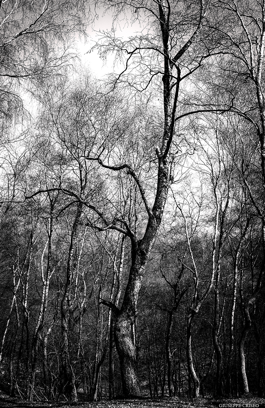 Of the secret nature