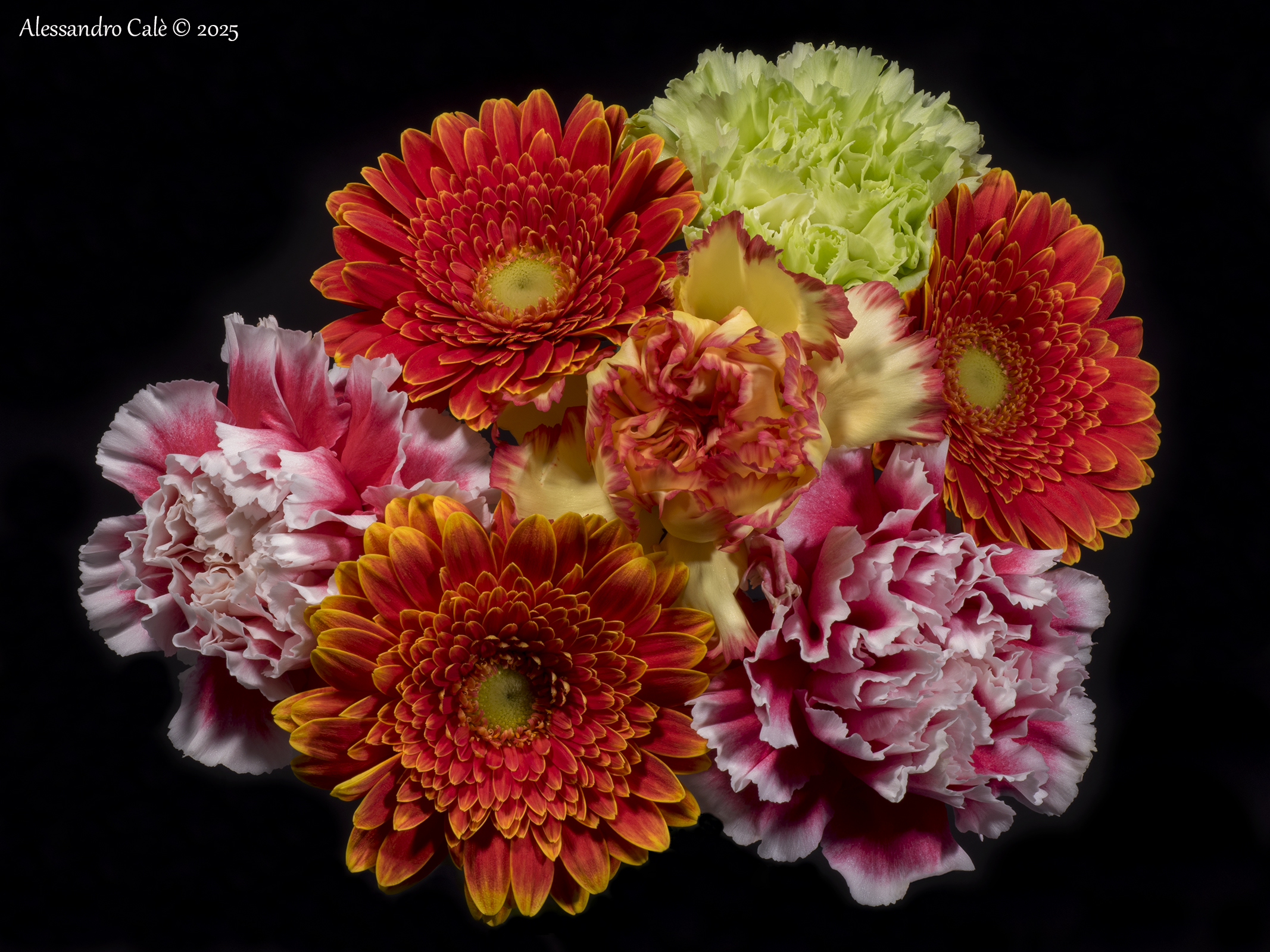 Tripudio di colore 0676