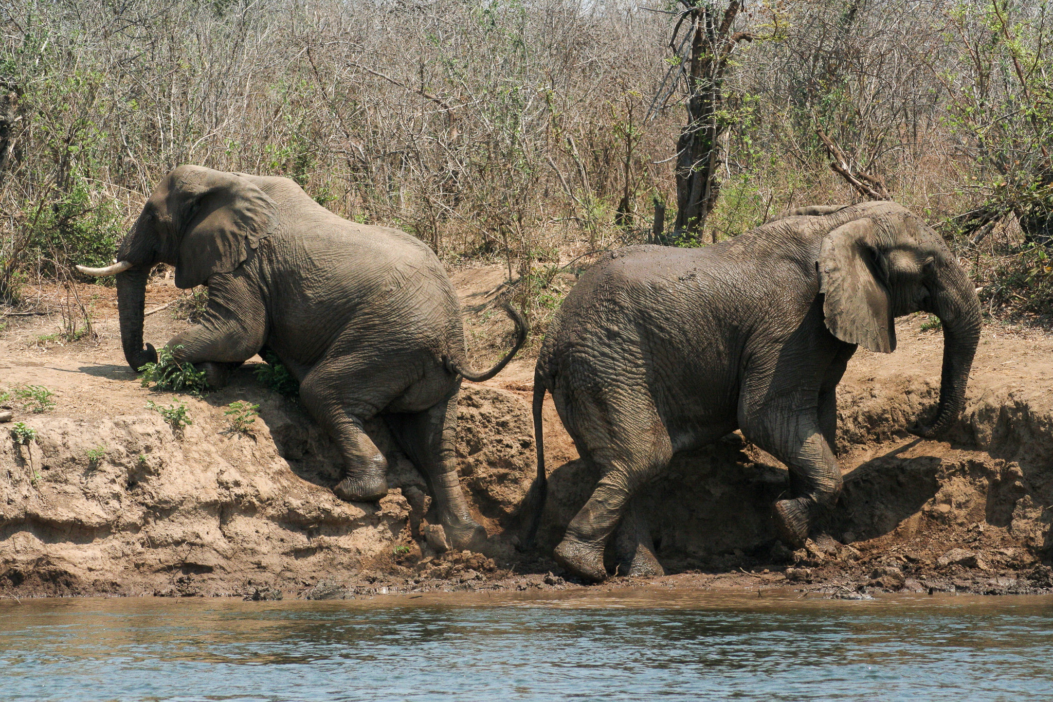 Datemi un punto fermo