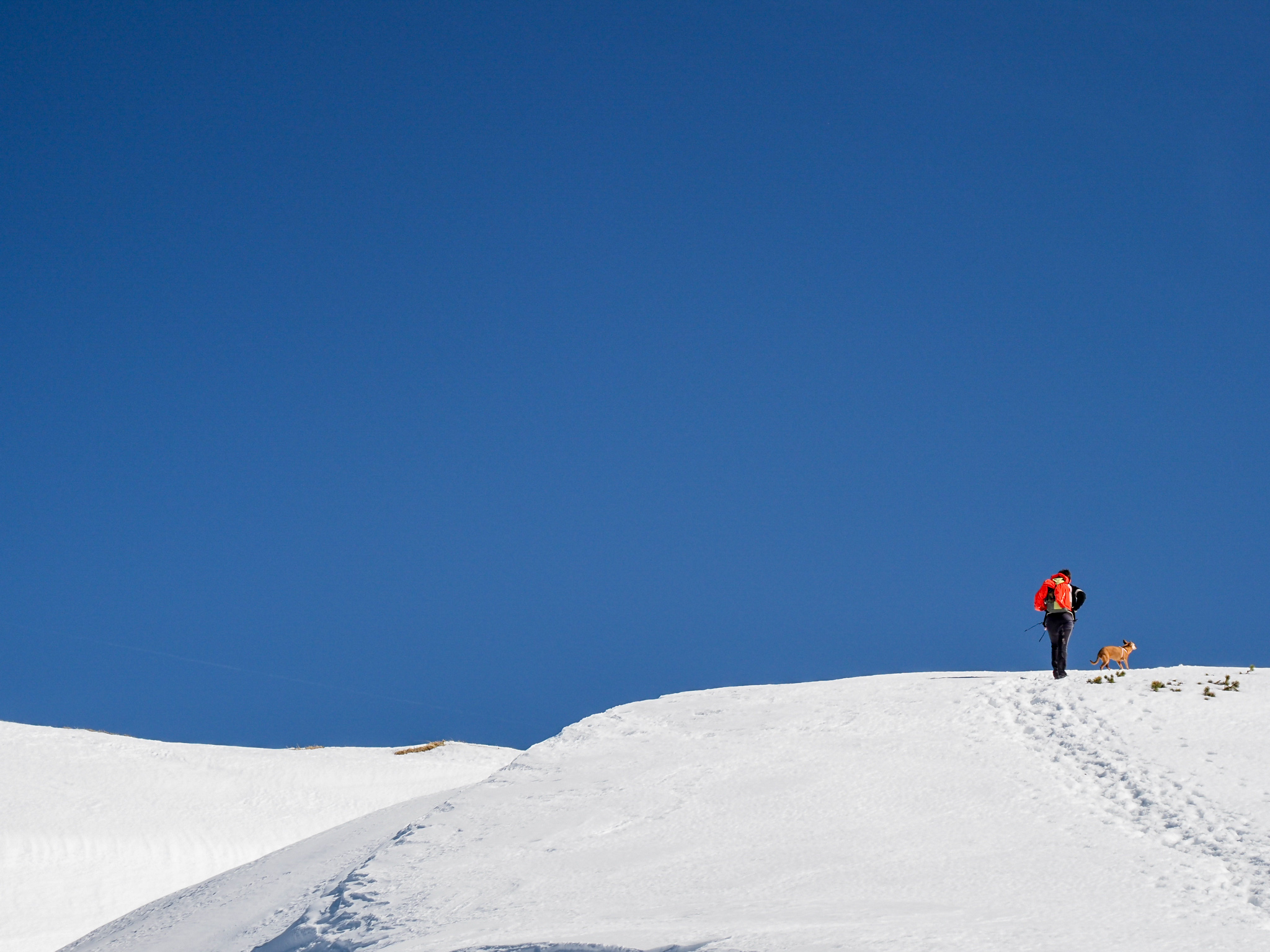 in vista della cima