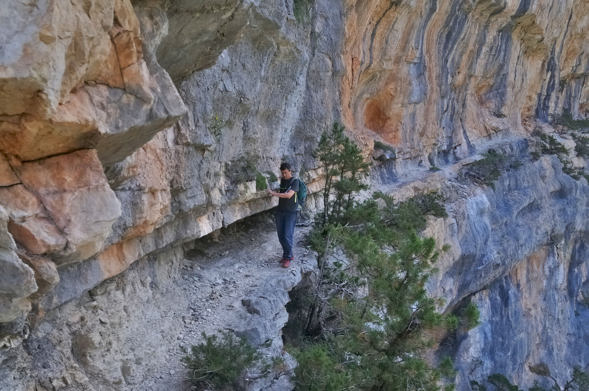 Vai per la tua strada ...
