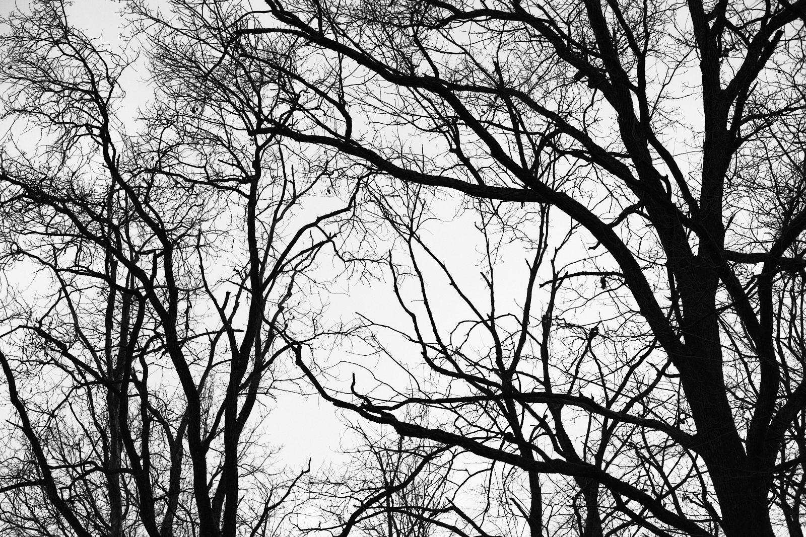 Untitled Photo