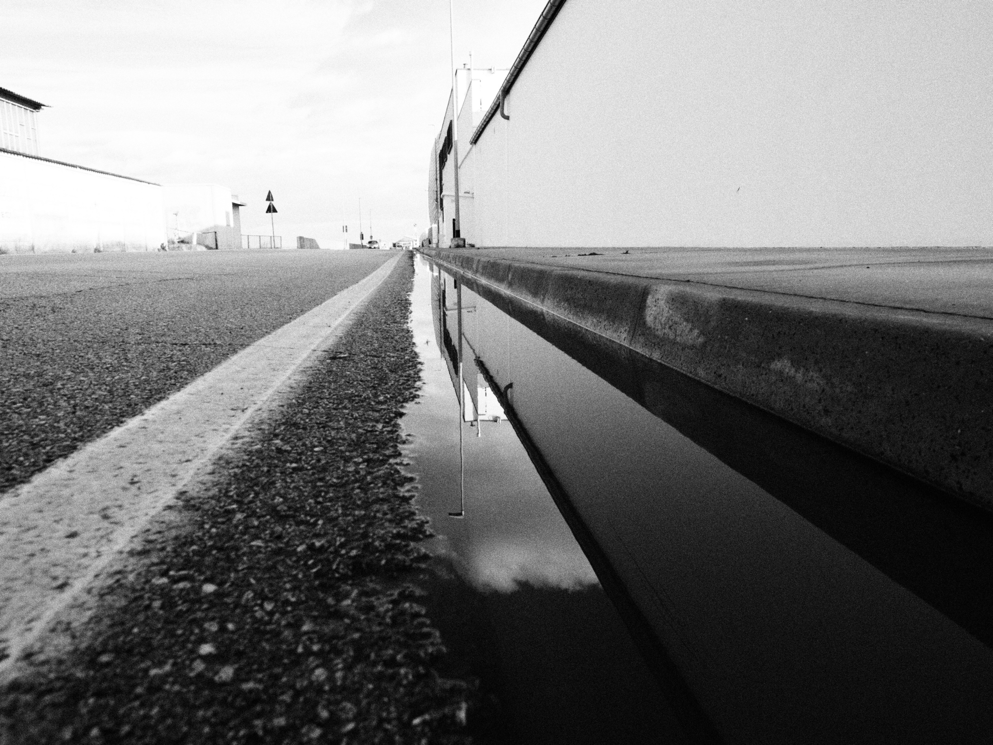 Untitled Photo