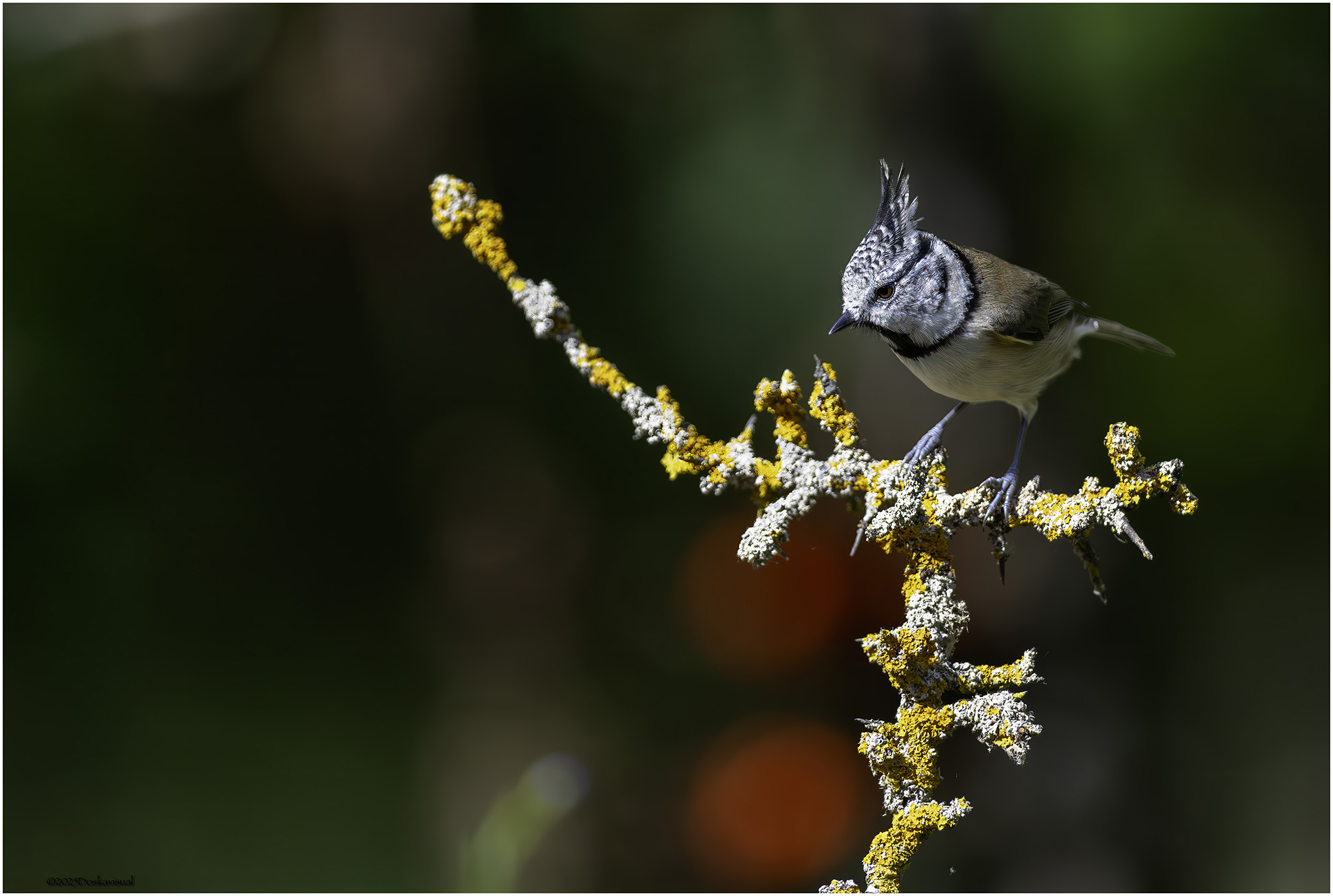 How beautiful I am this morning!