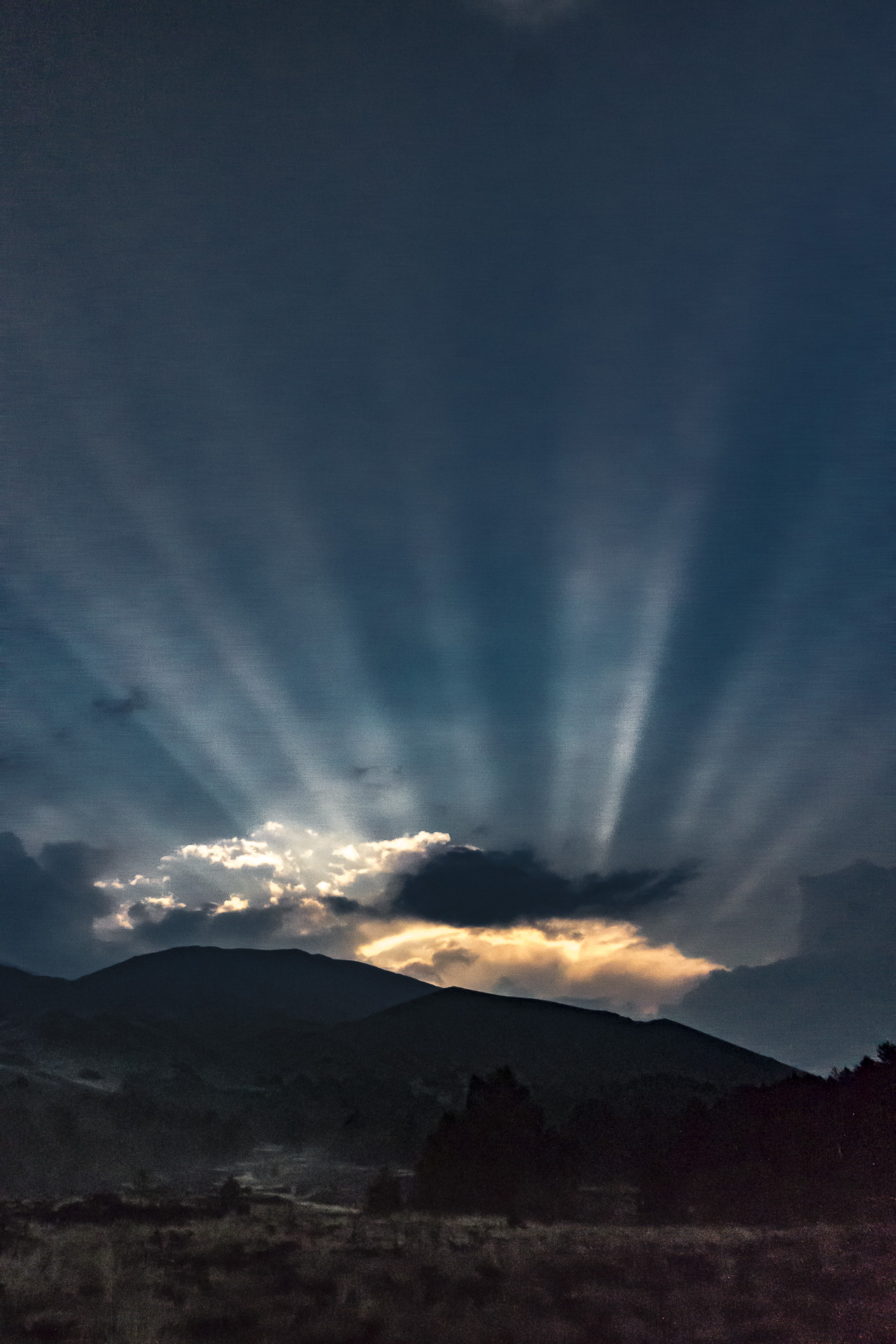 BOREAL SUNSET