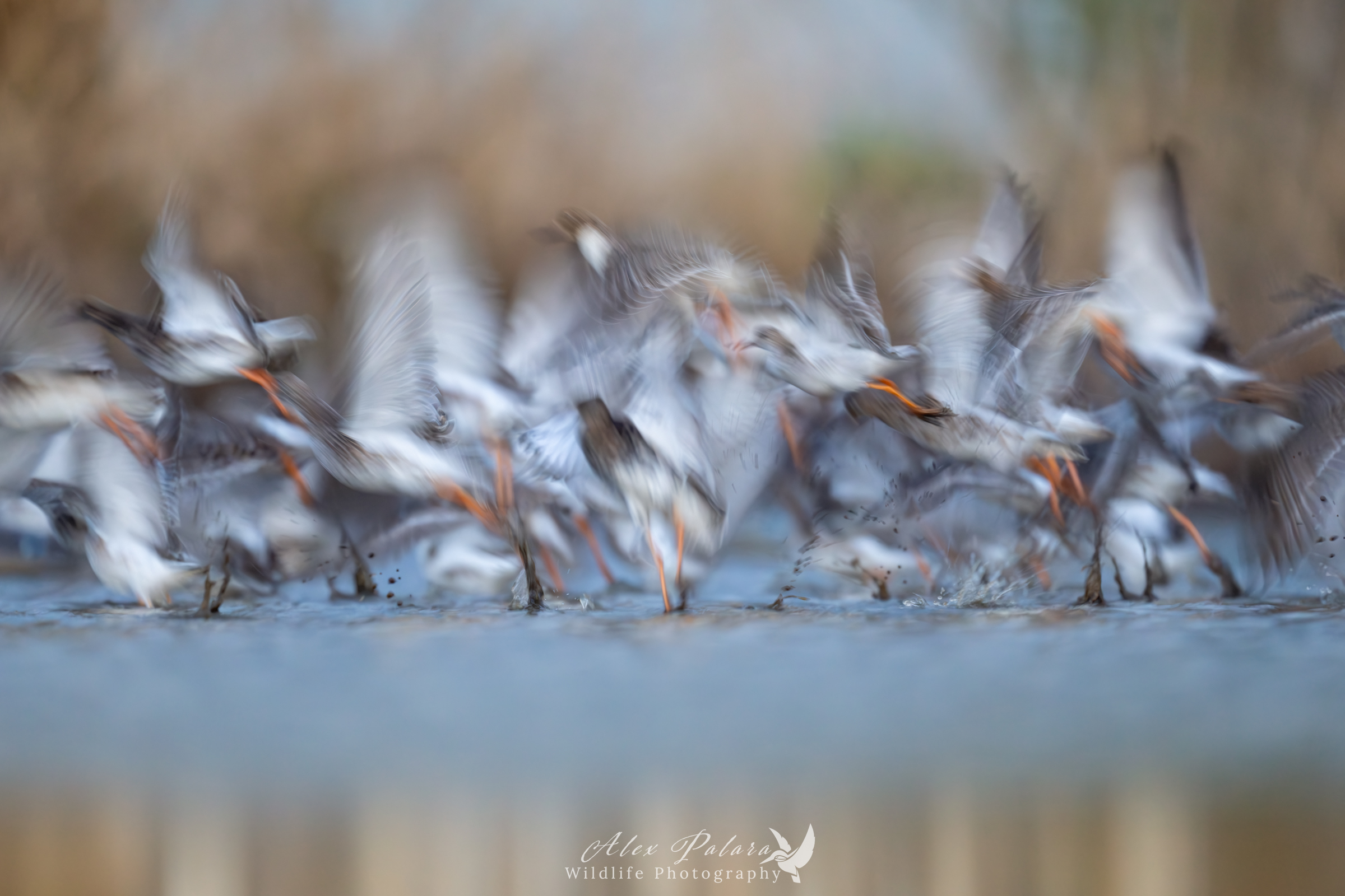 La magia della natura