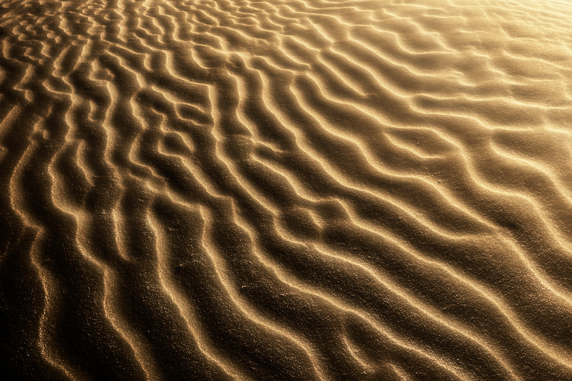 Desert Waves