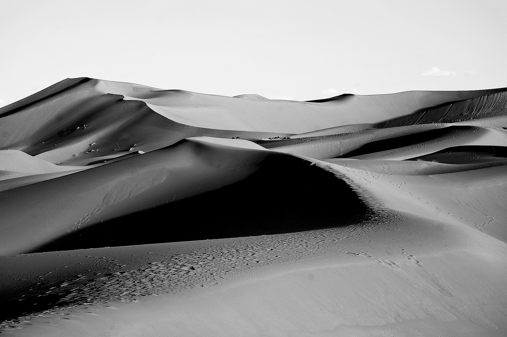Sahara (Marocco)