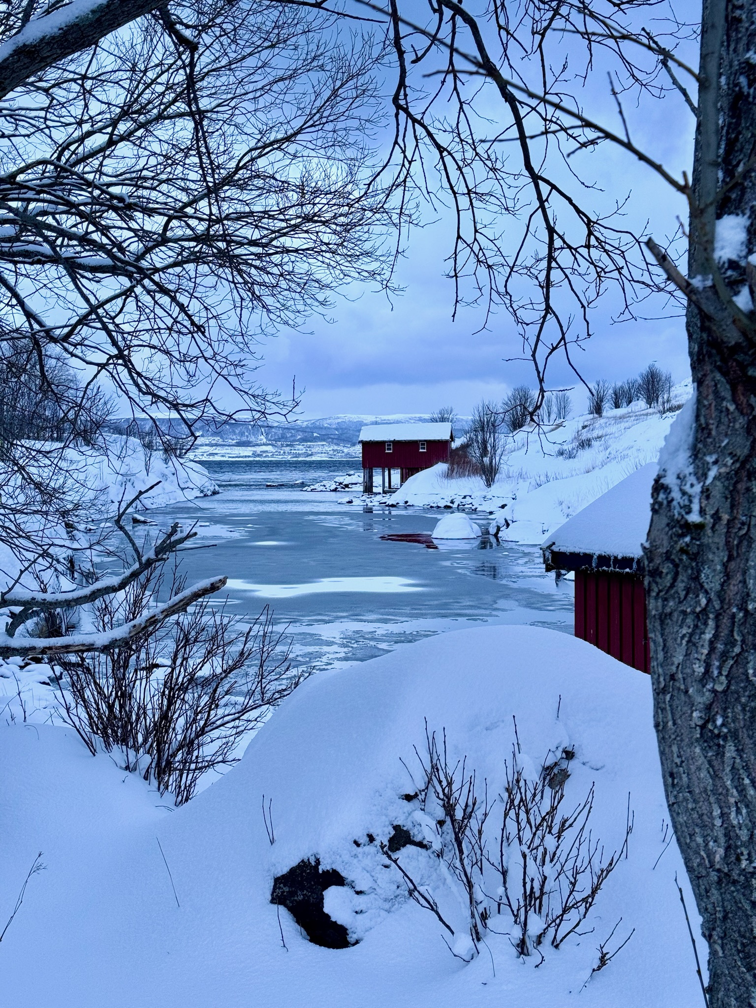 Norway January 2025