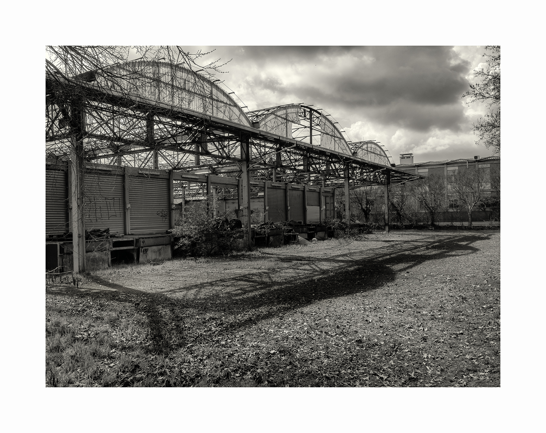 Untitled Photo