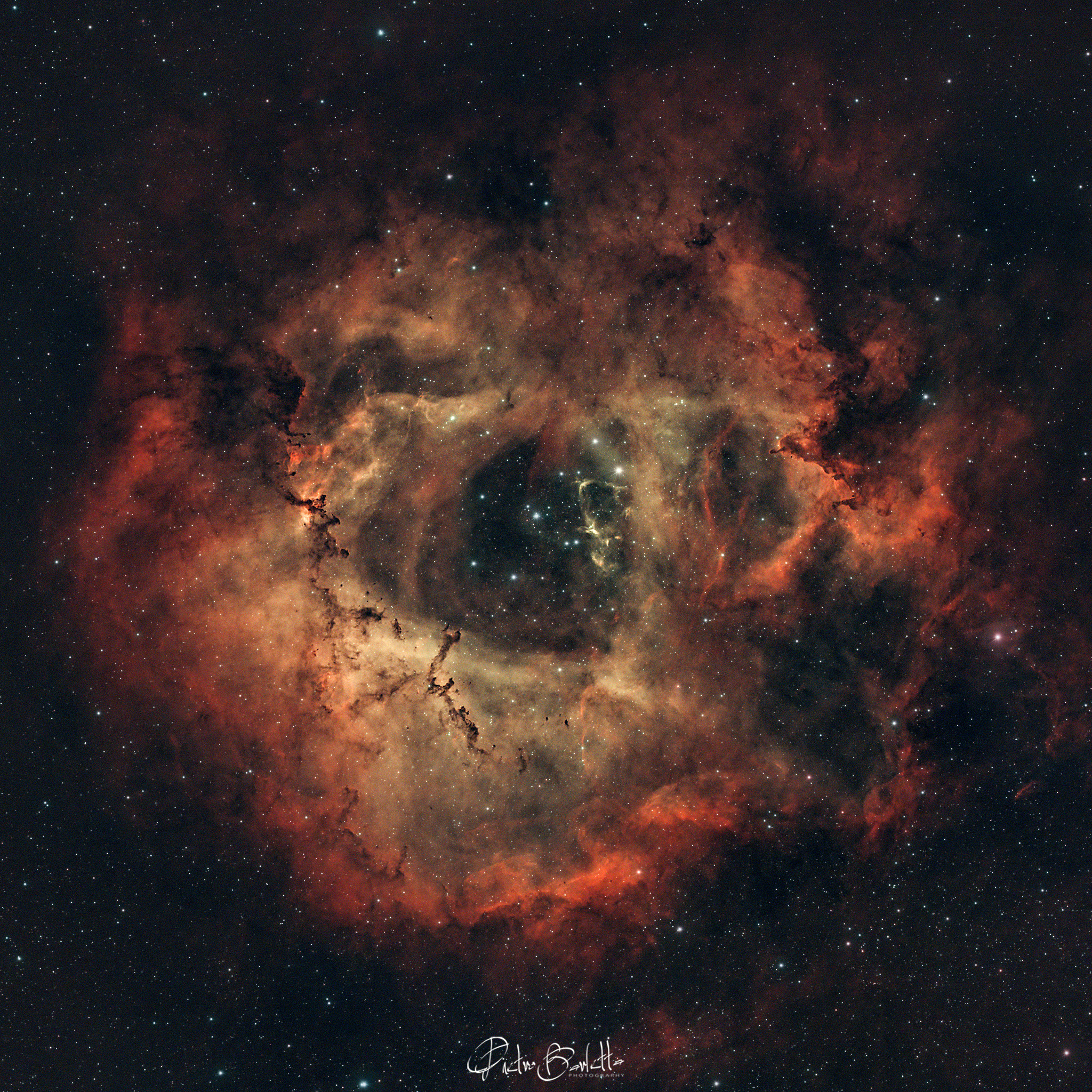 Nebulosa Rosetta