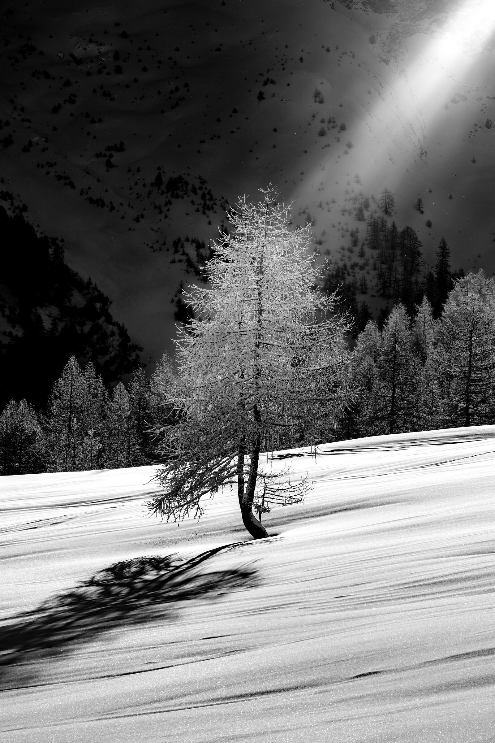 Light beam