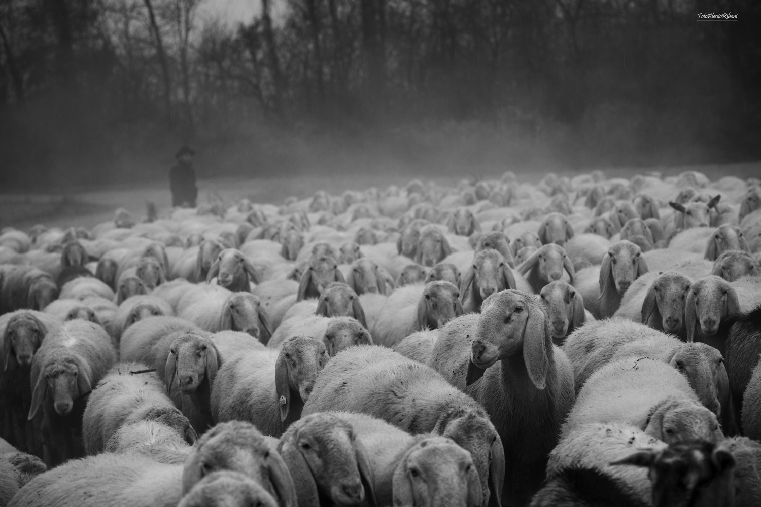 Unexpected encounters