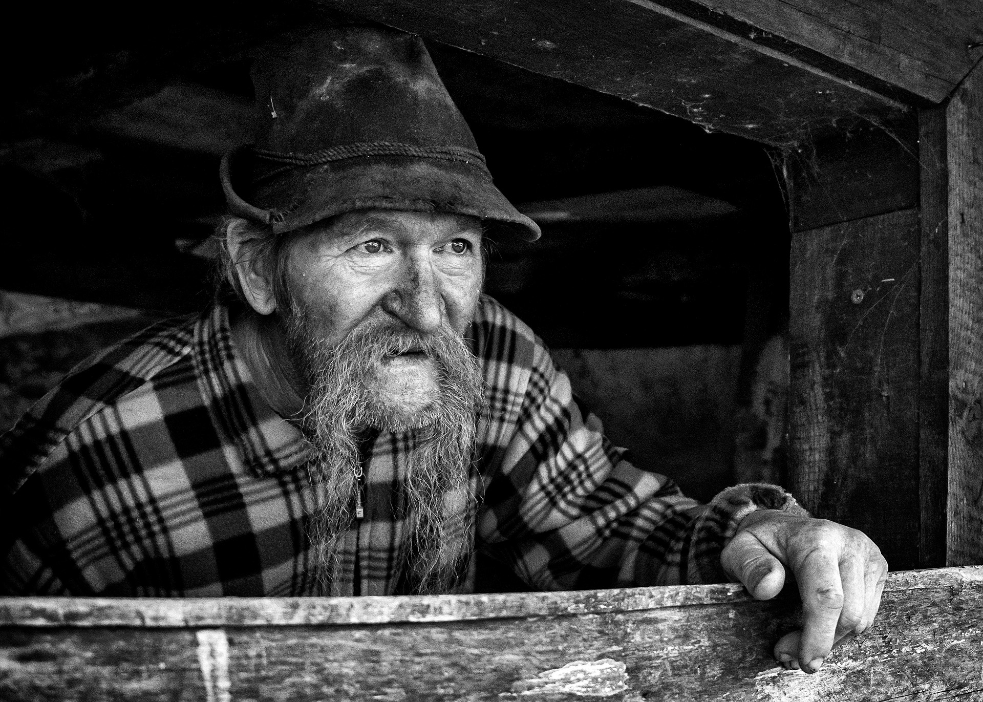 Volto scolpito dai giorni