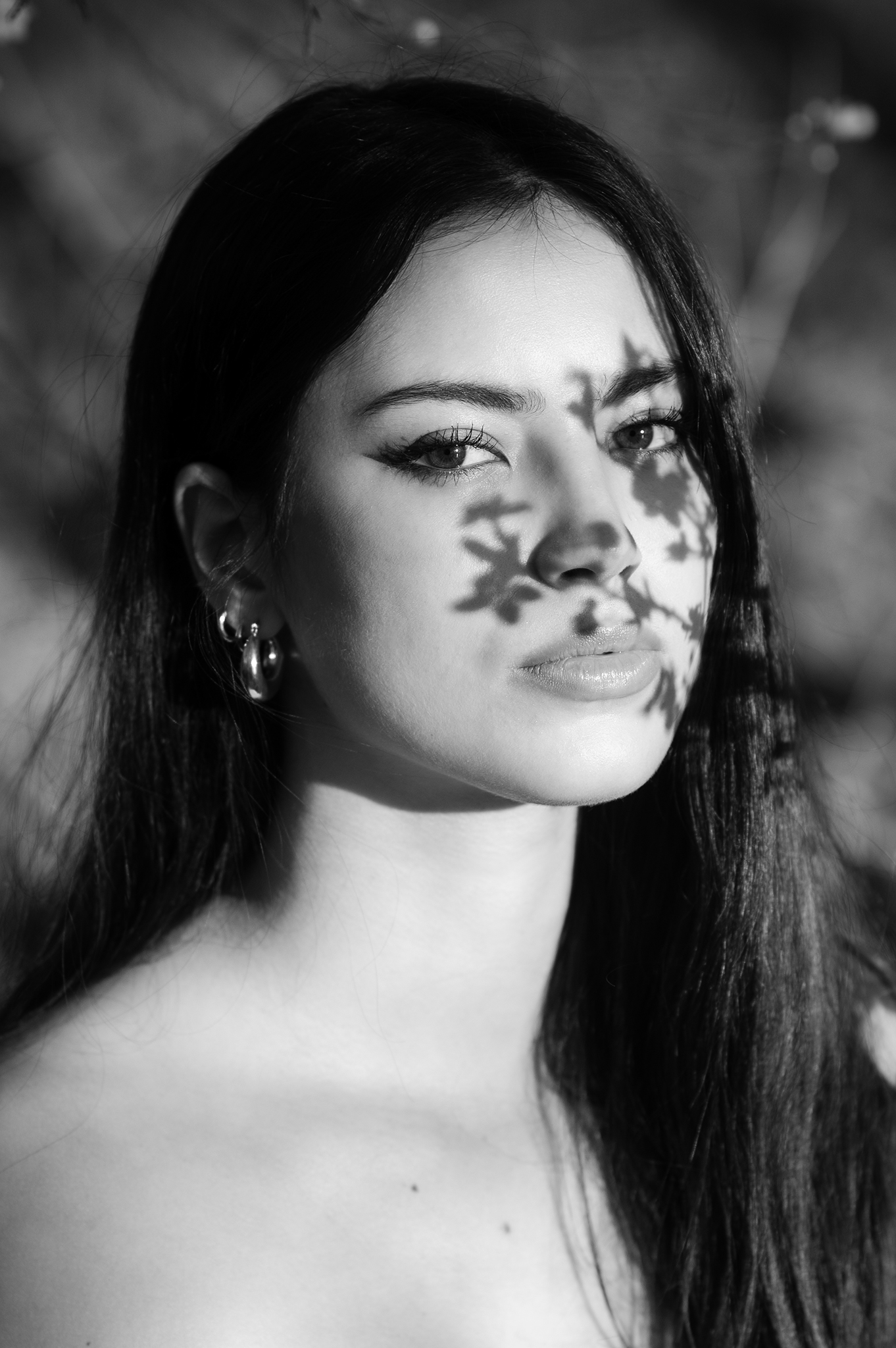 Between light and shadow