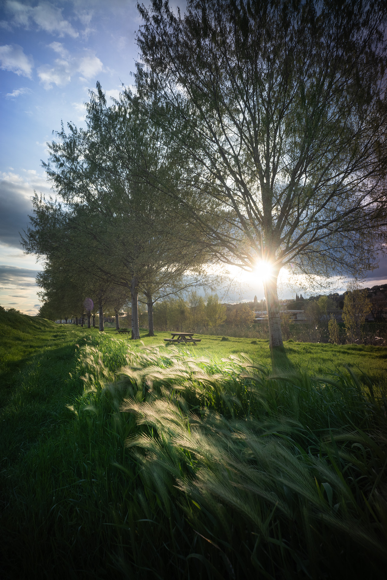 Quando esci col cane e la macchina fotografica