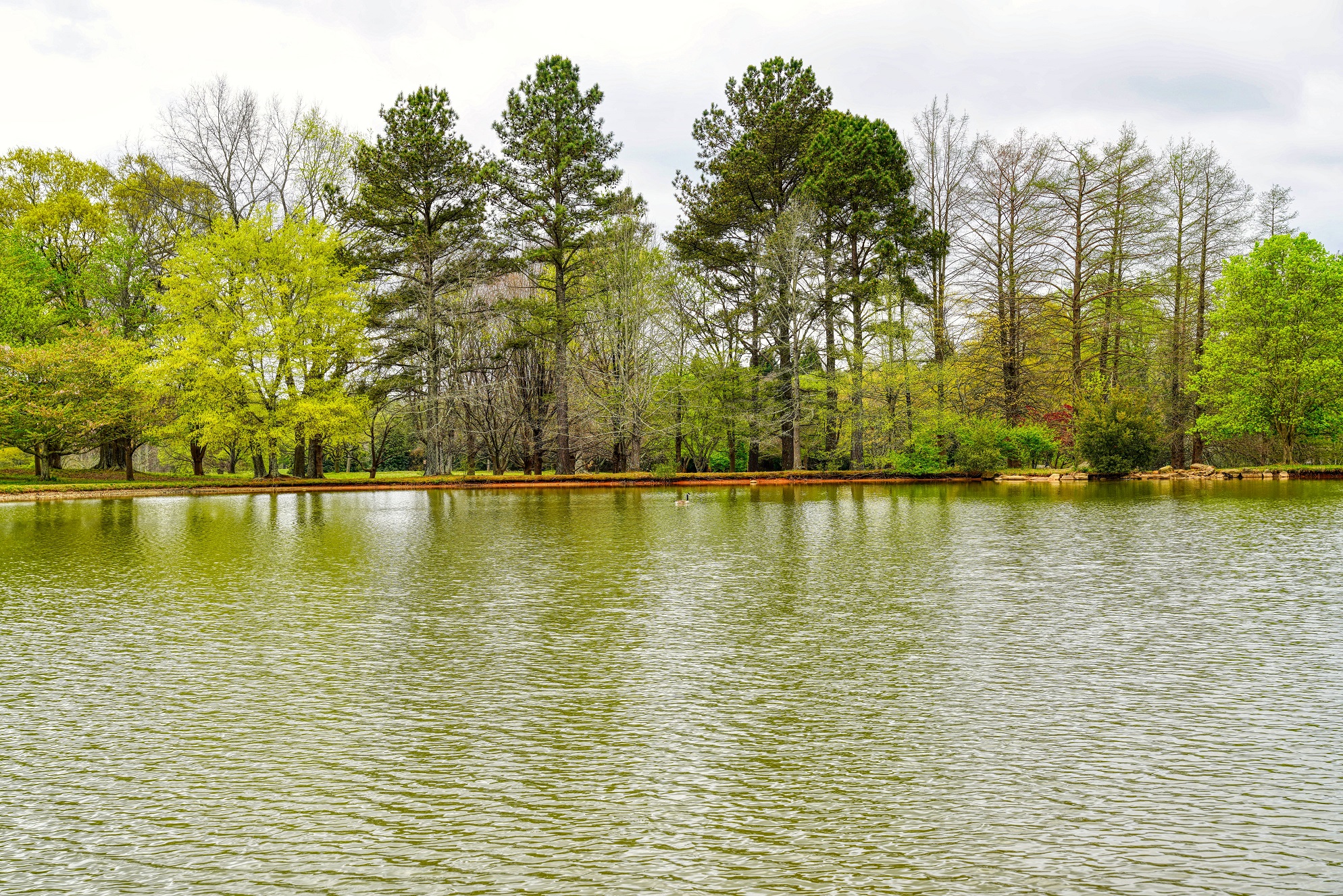 Arboreto Milliken (Sony A7R3 e Sigma 24-70mm F2.8 DG)