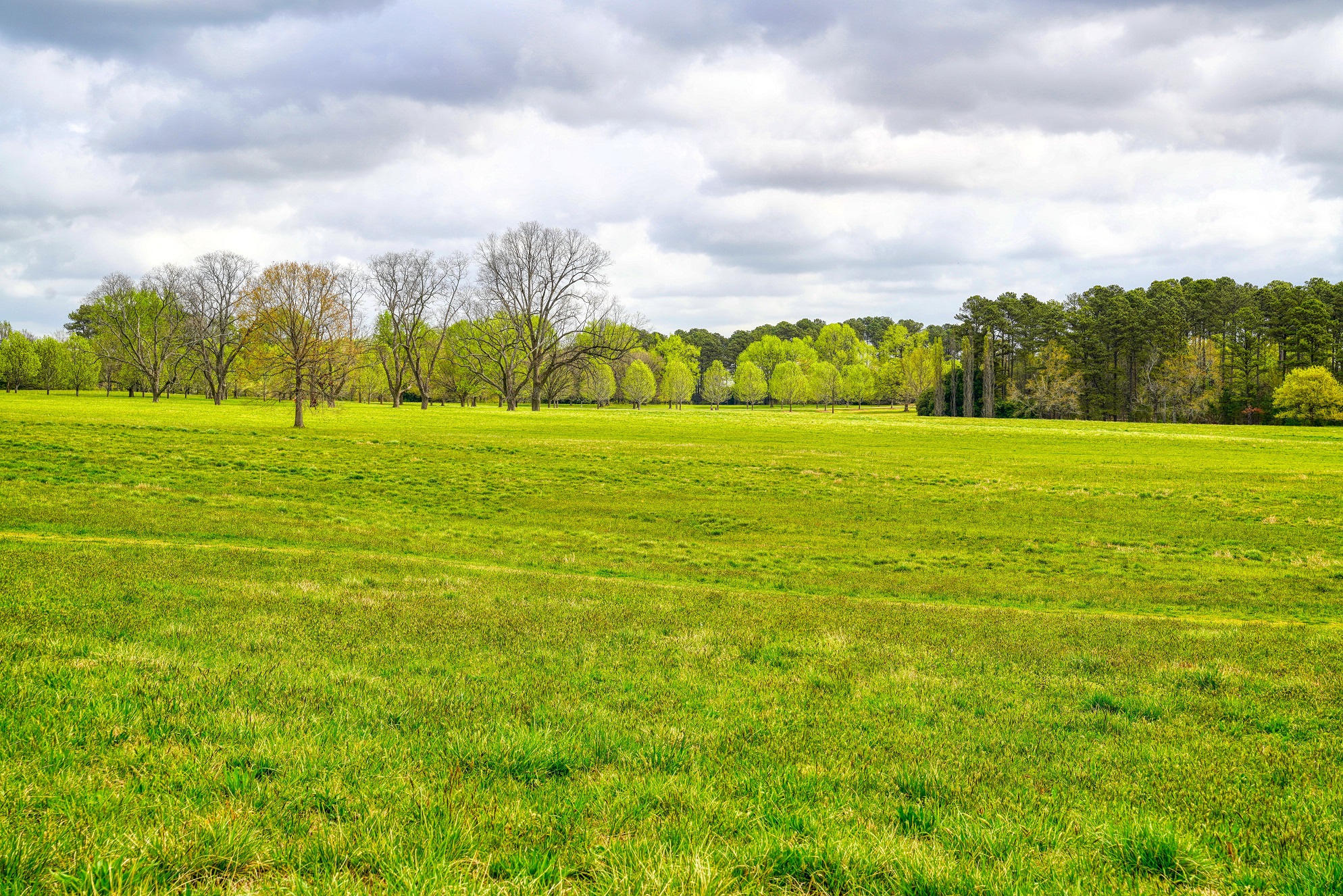 Arboreto Milliken (Sony A7R3 e Sigma 24-70mm F2.8 DG)