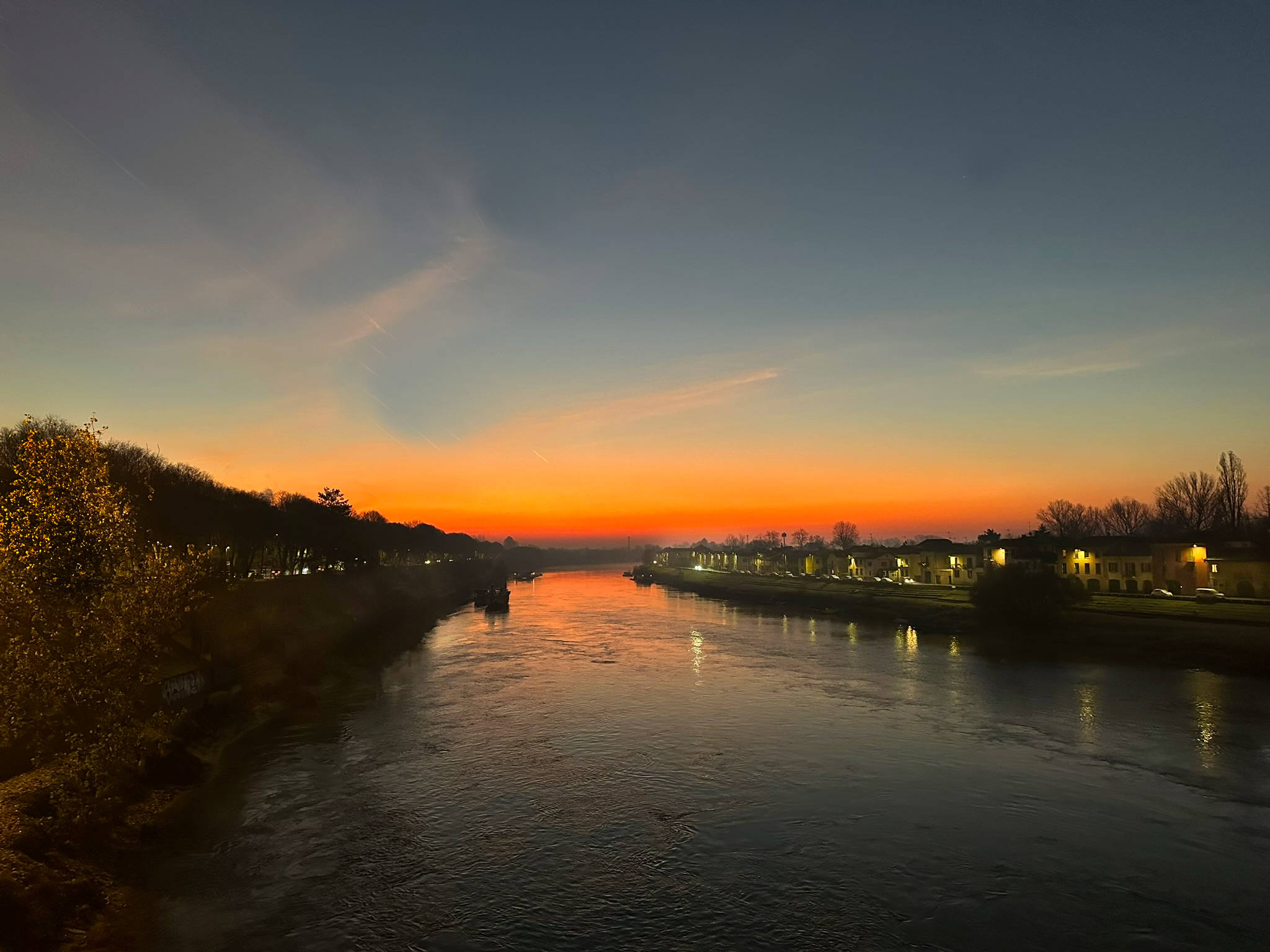 alba Pavia