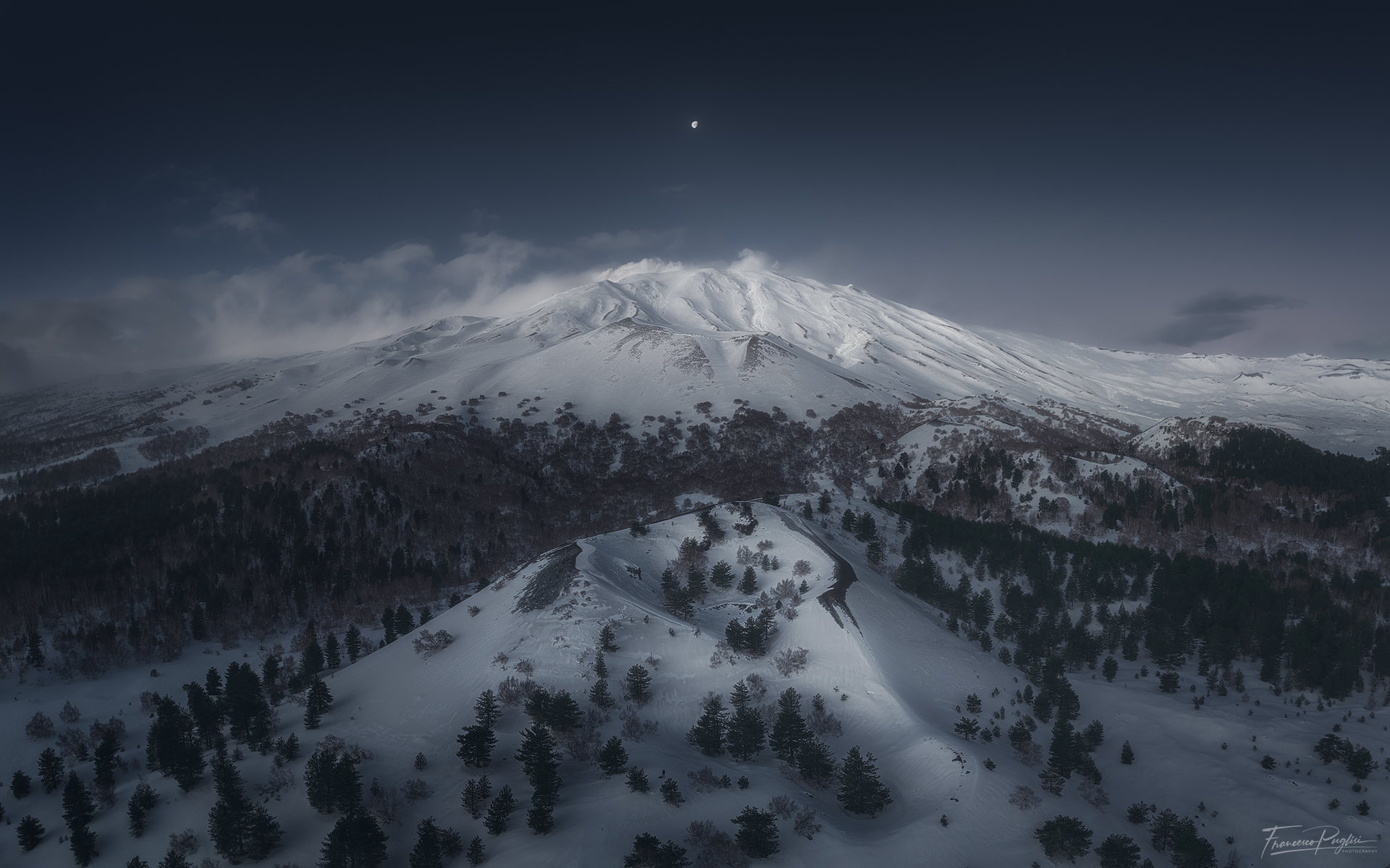 Under the moonlight