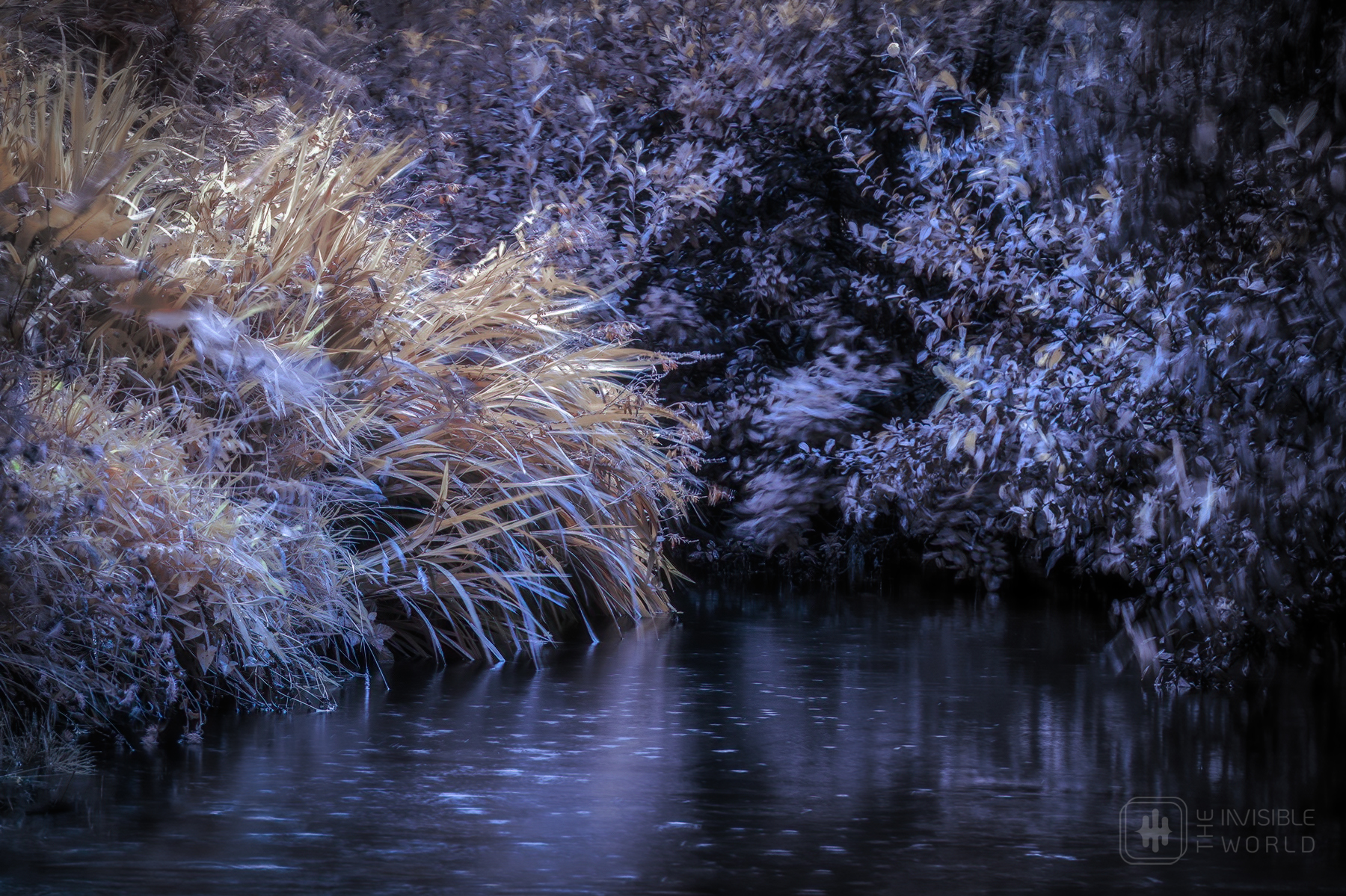Riverdance