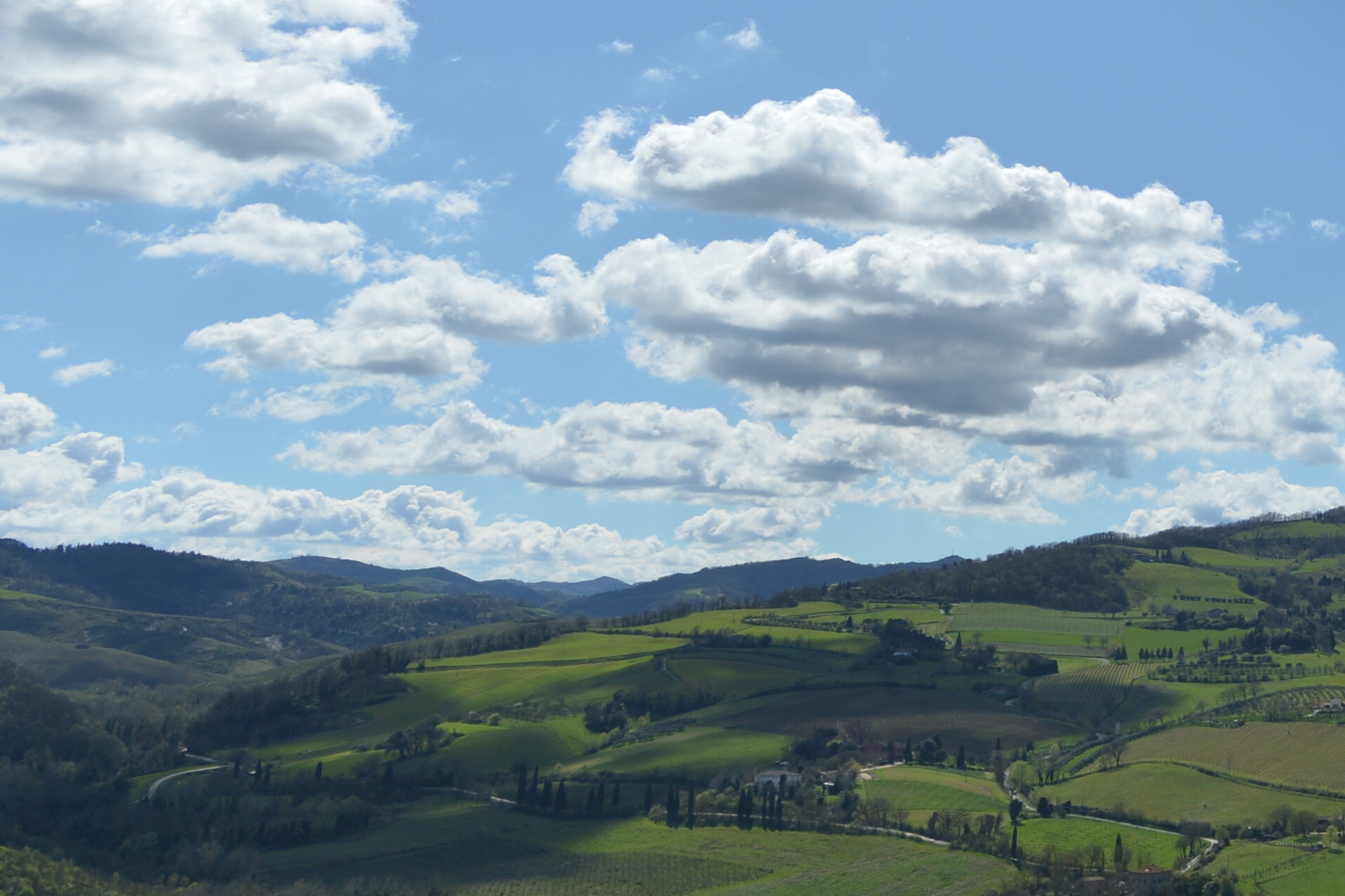 They are not Crete Senesi