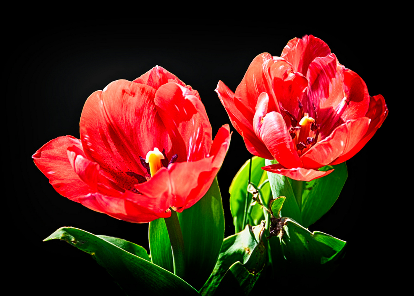 Winning combination....