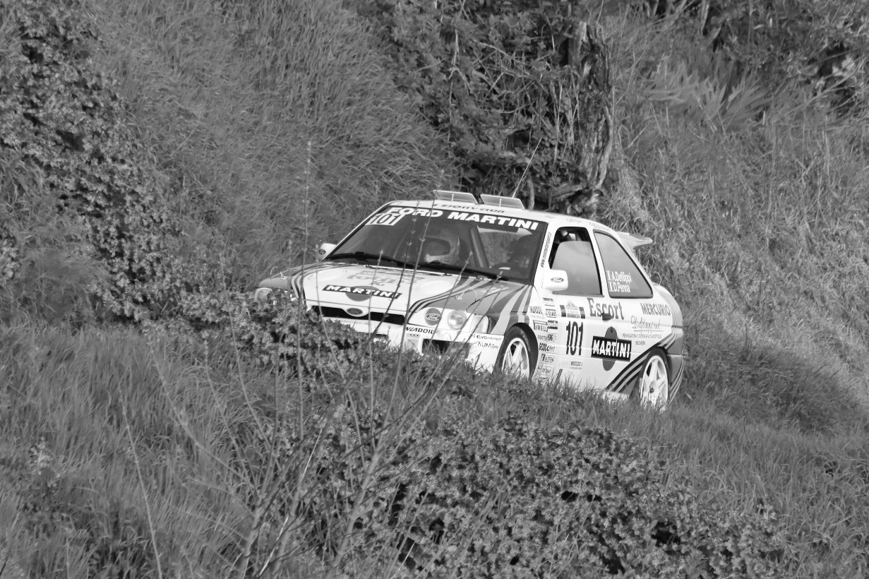 Among the cool branches