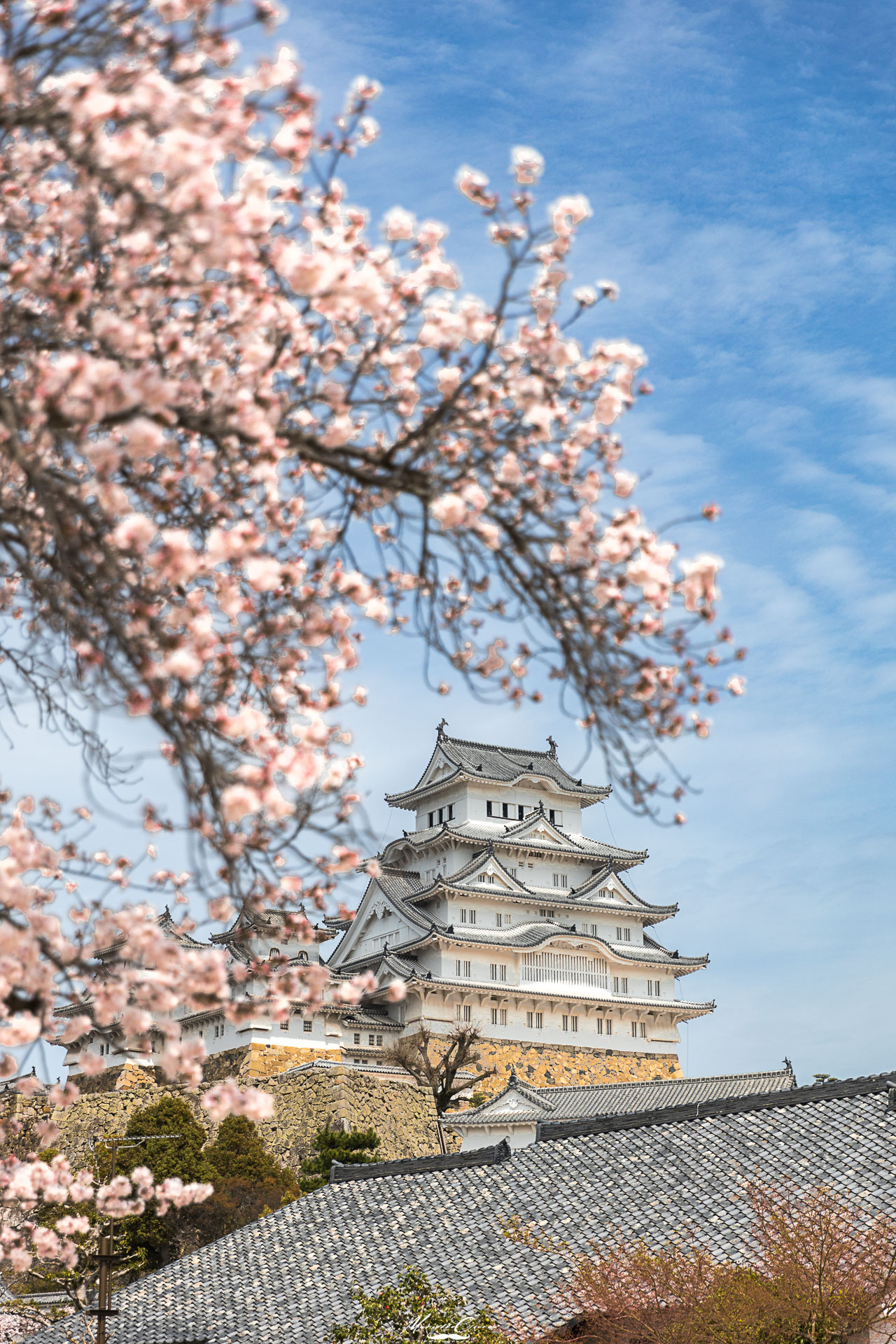 L'airone bianco in Hanami