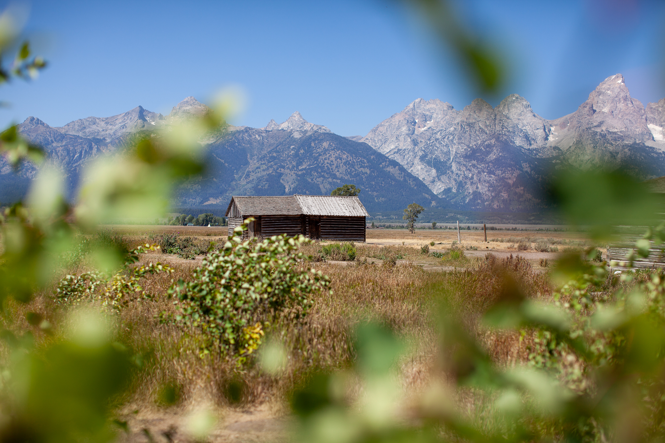 Rustic cabin in the West