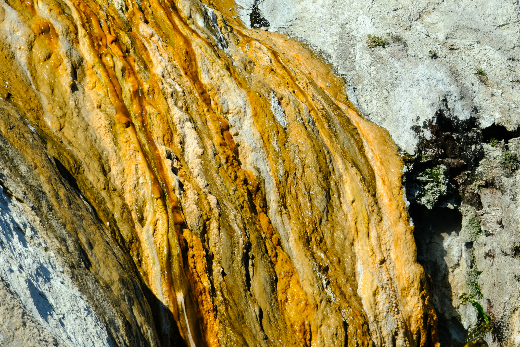 Geothermal Flows