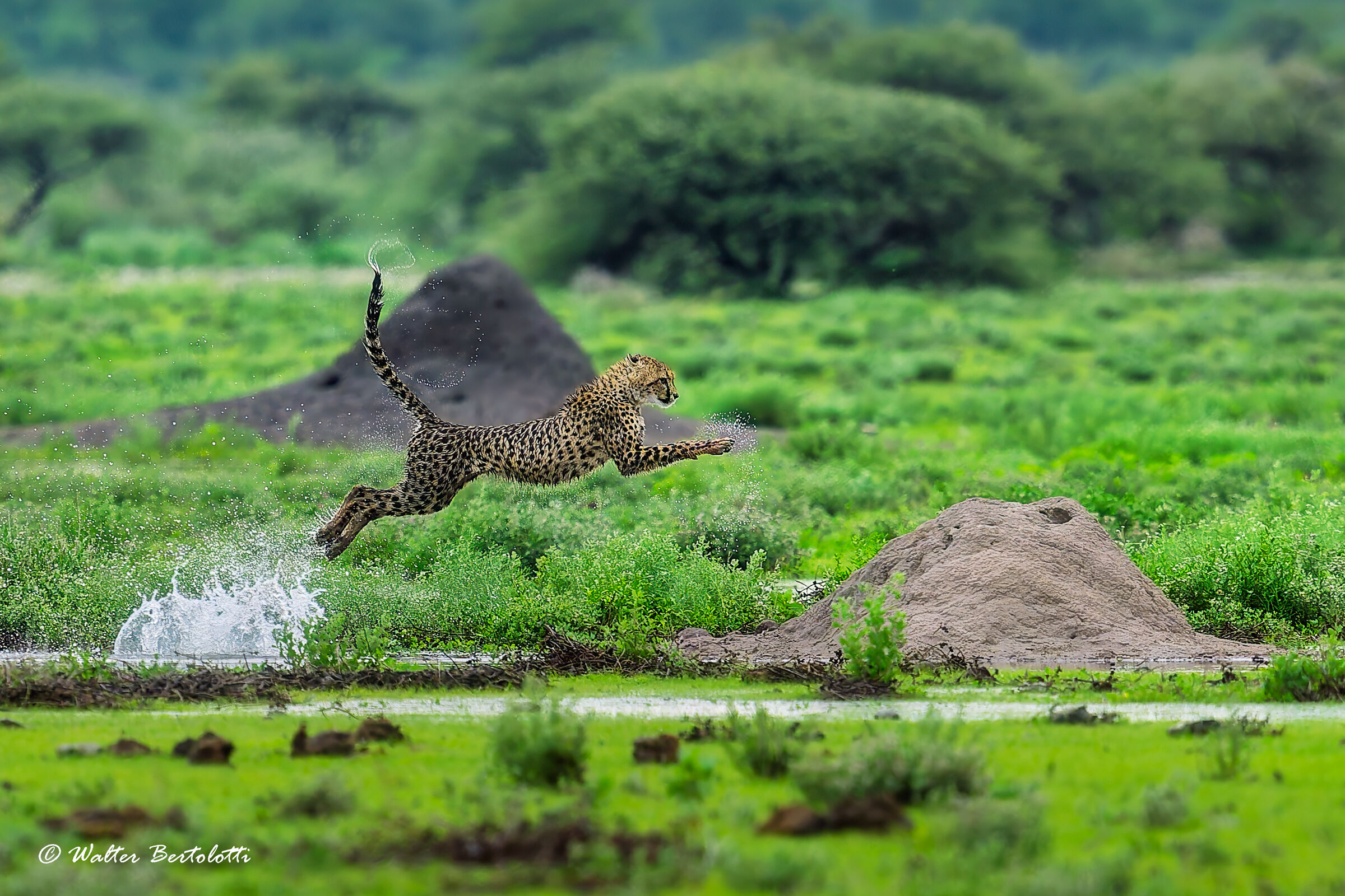 giochi sotto la pioggia