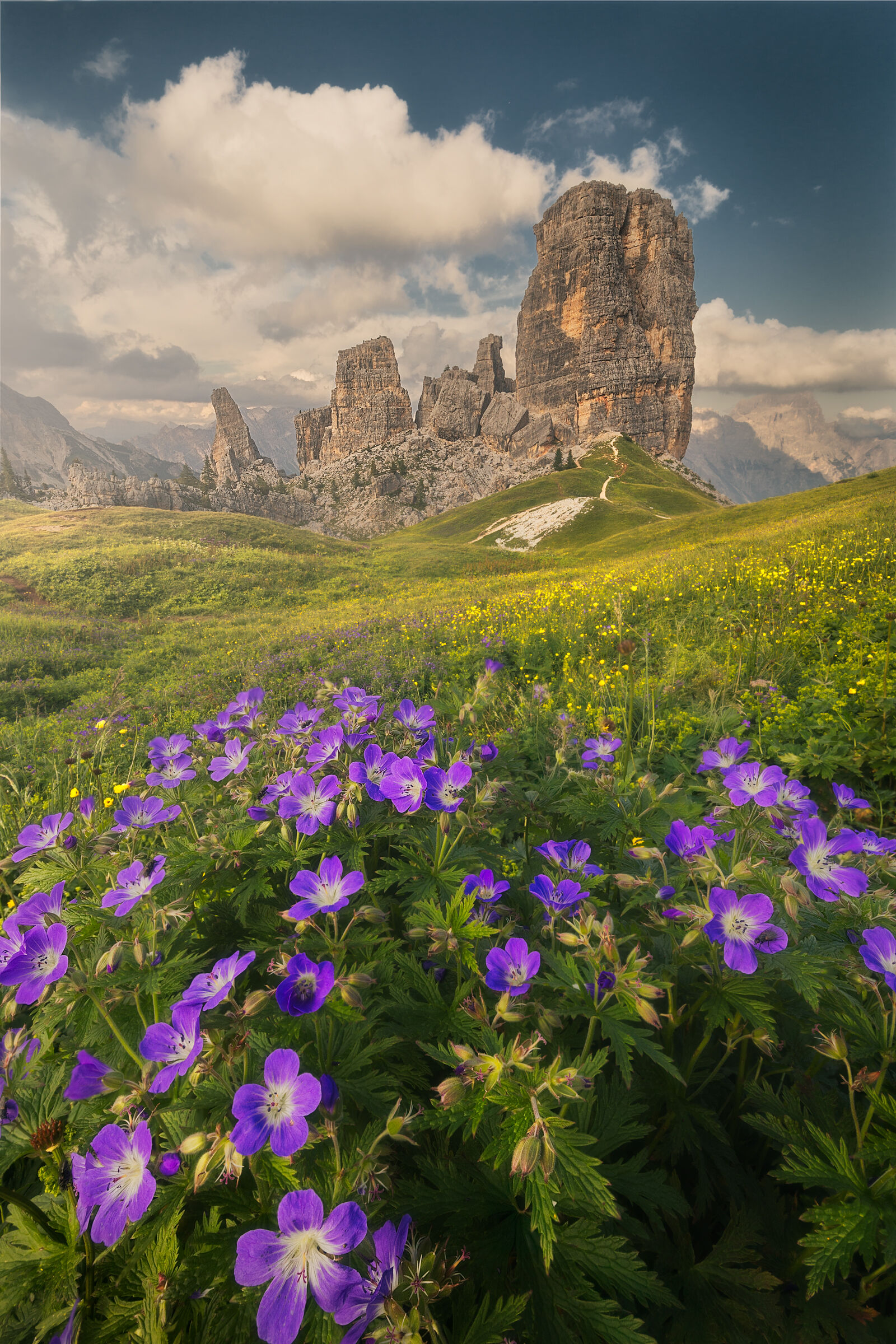 Between wildflowers and stone titans