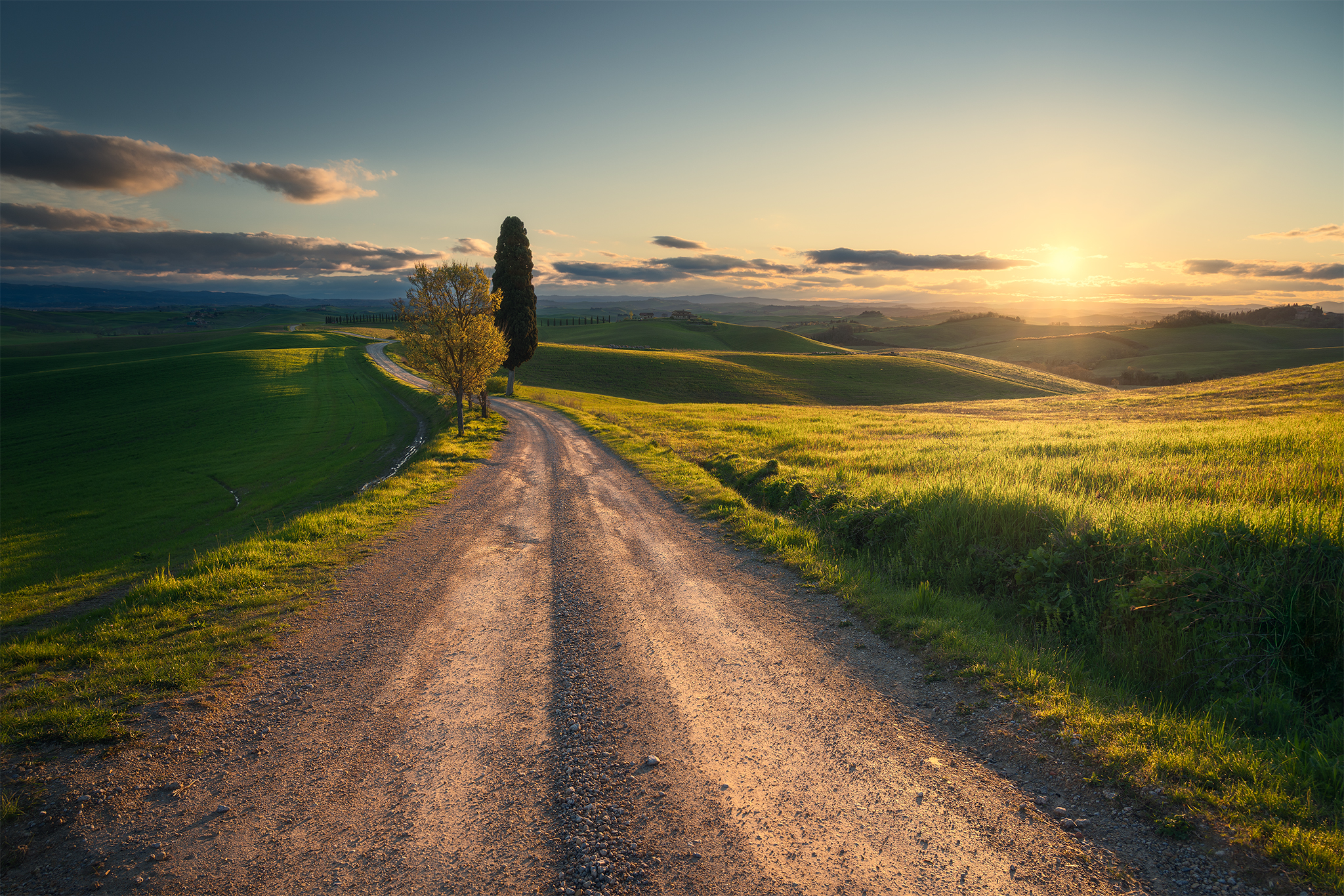 On the white road