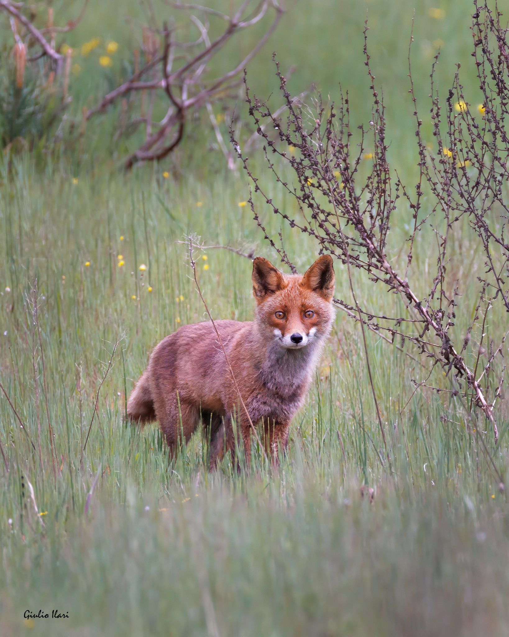 I think lunch is postponed ...