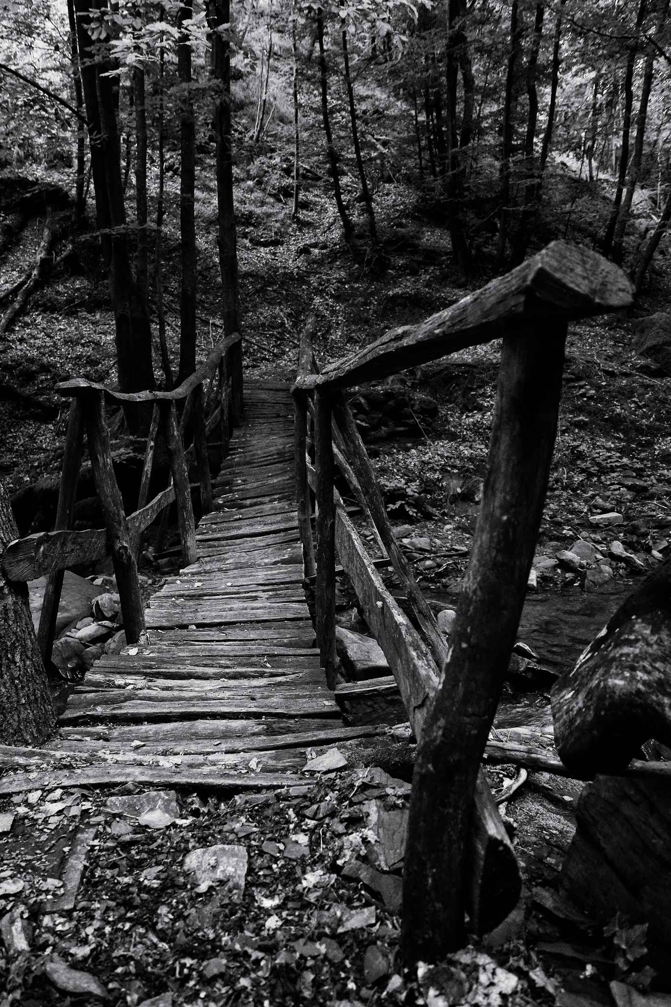 Bridge over Bisenzio