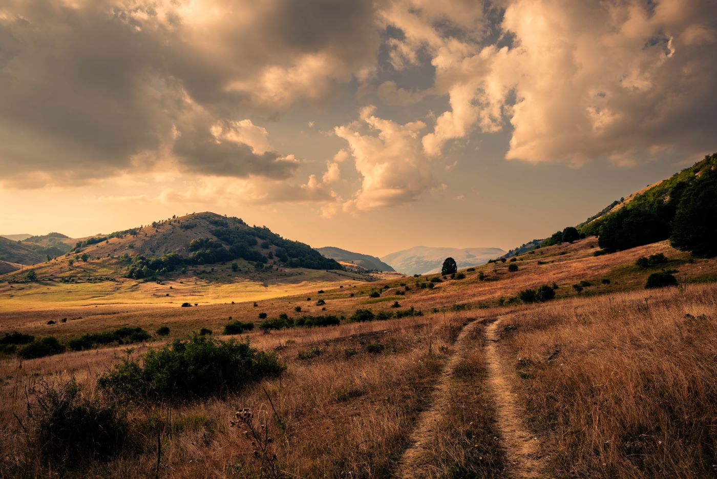 The road to serenity