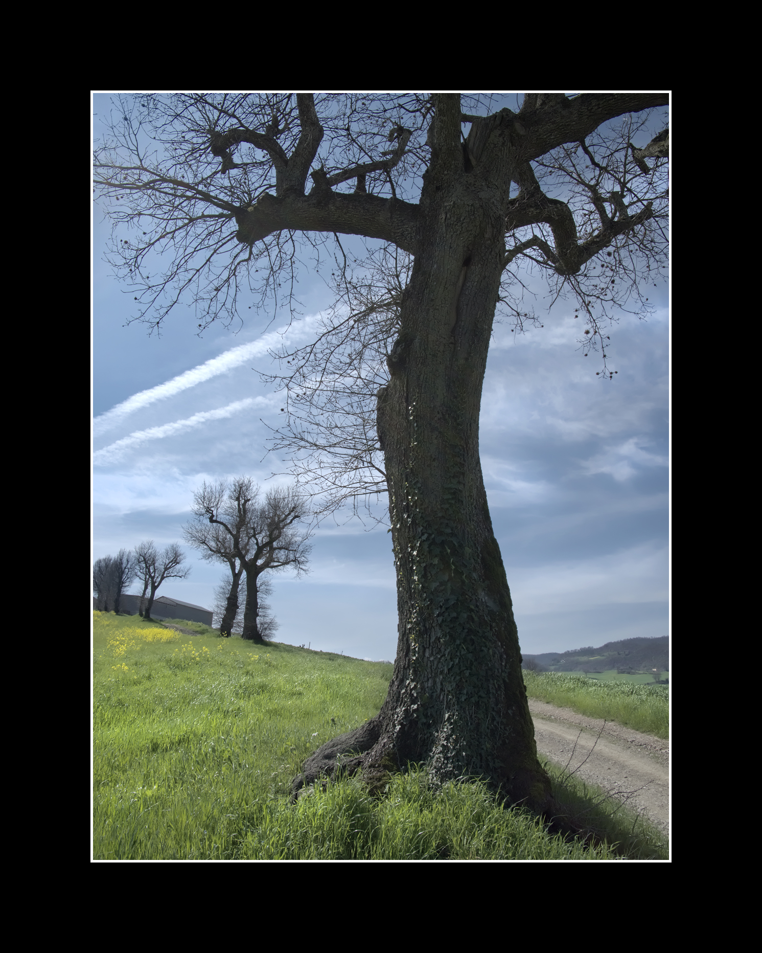 A walk