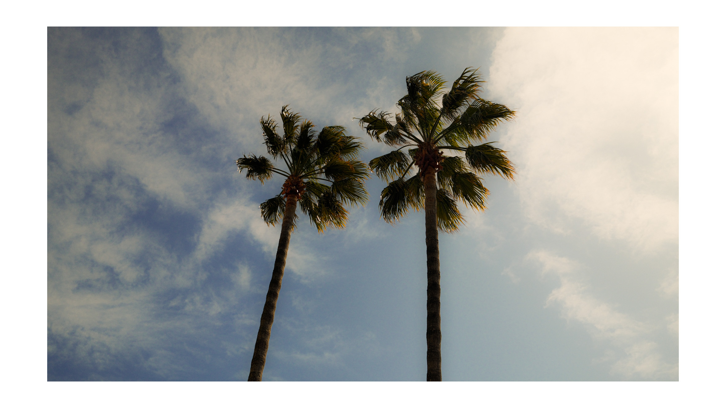 Untitled Photo