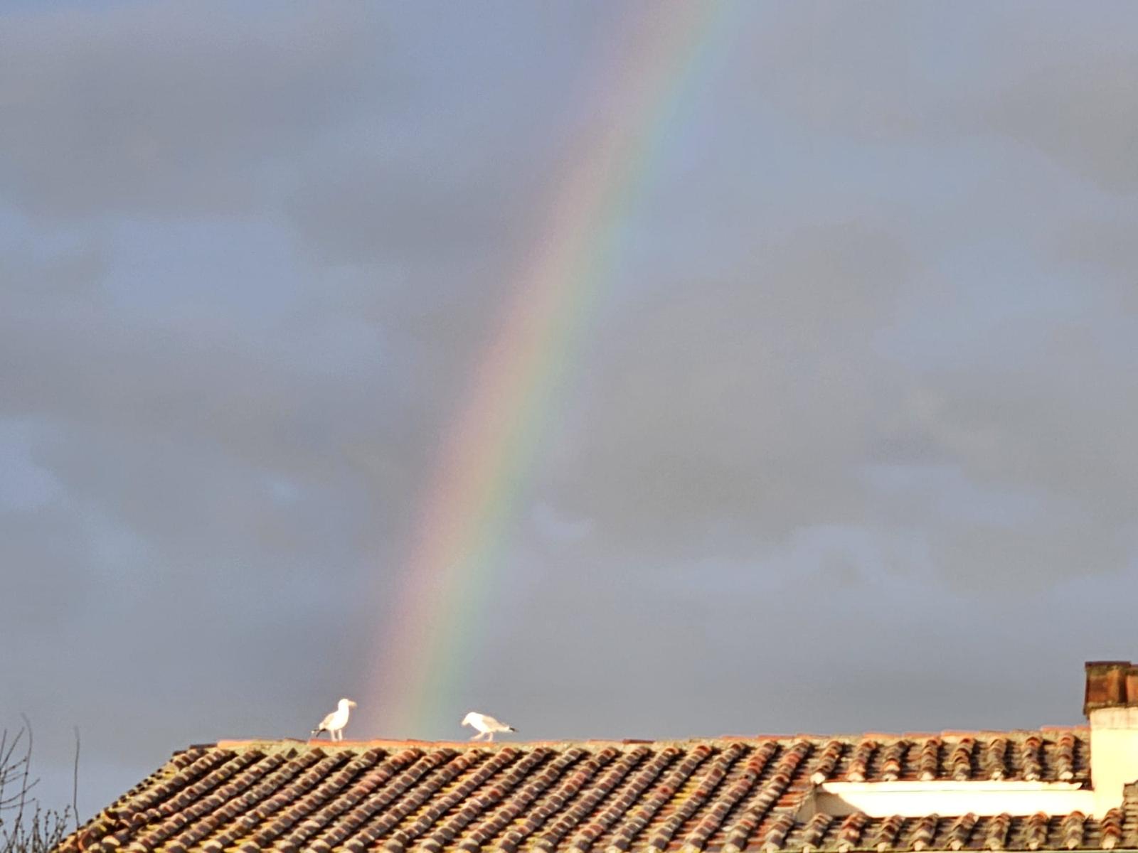 The Middle Rainbow