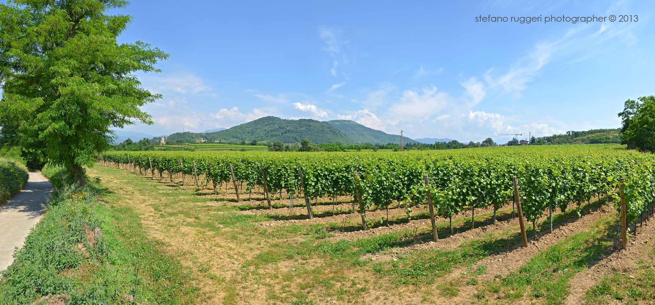 Originally Bubbles DOCG