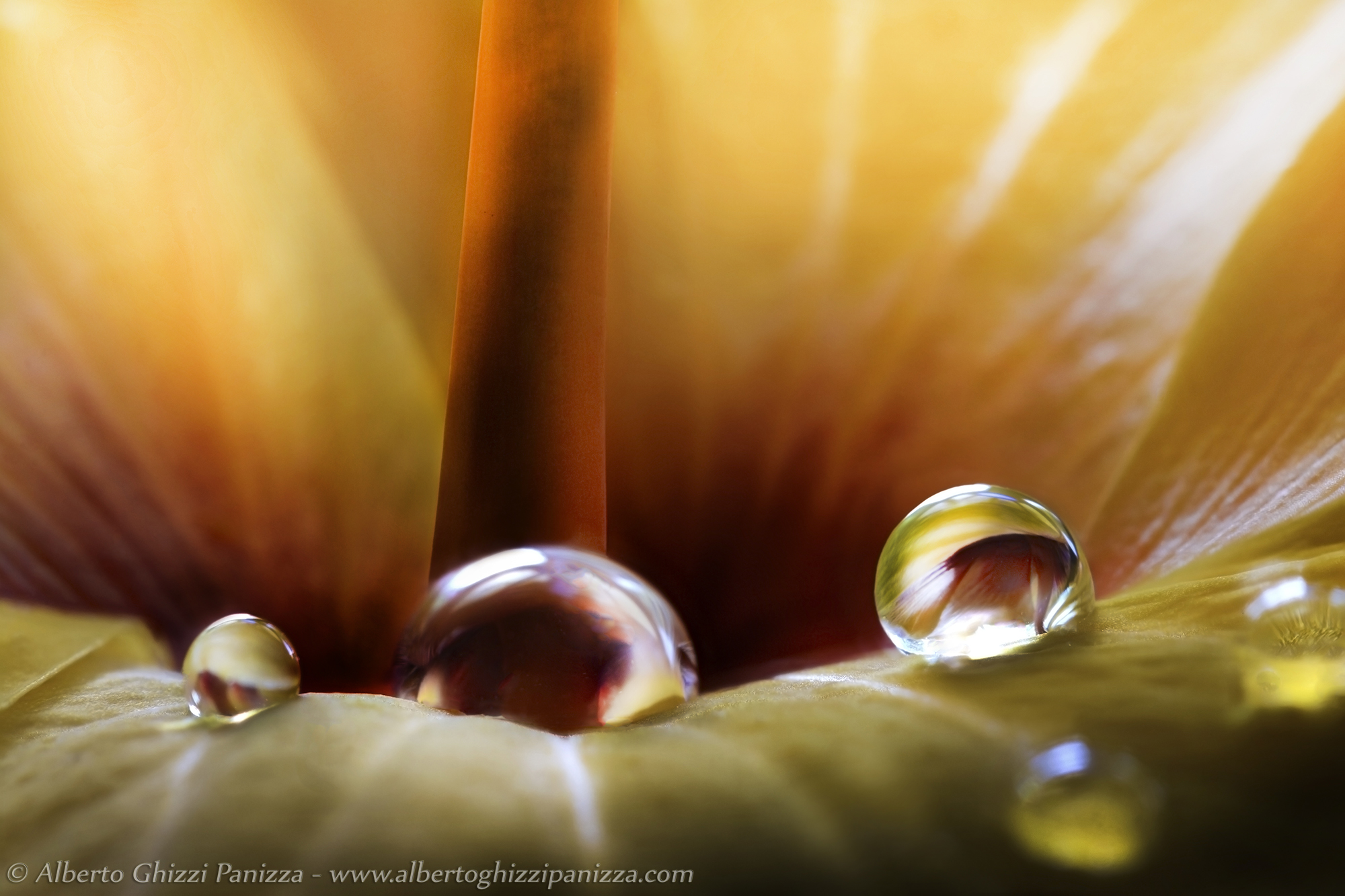 Slipping between the colors