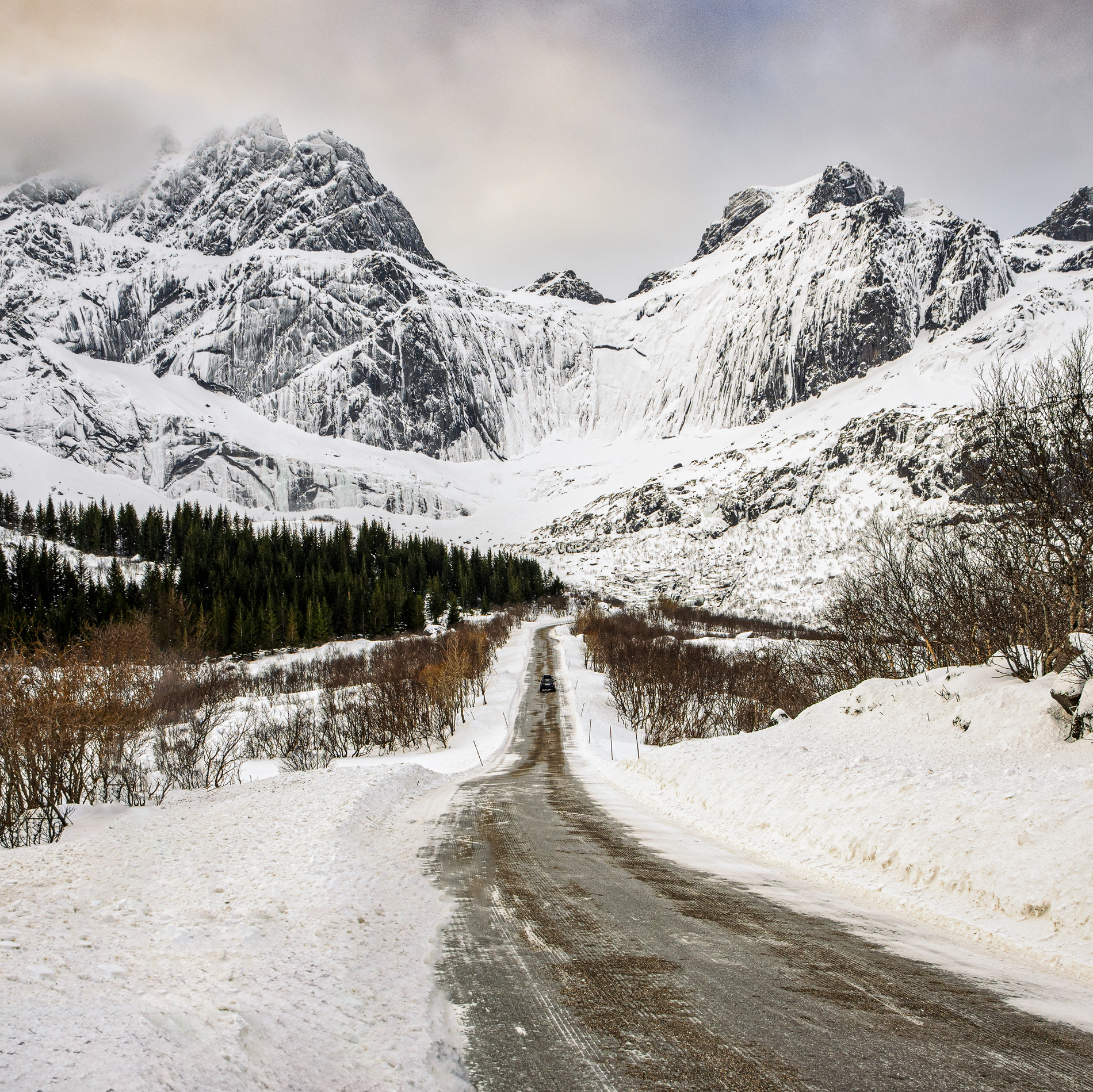Lofoten