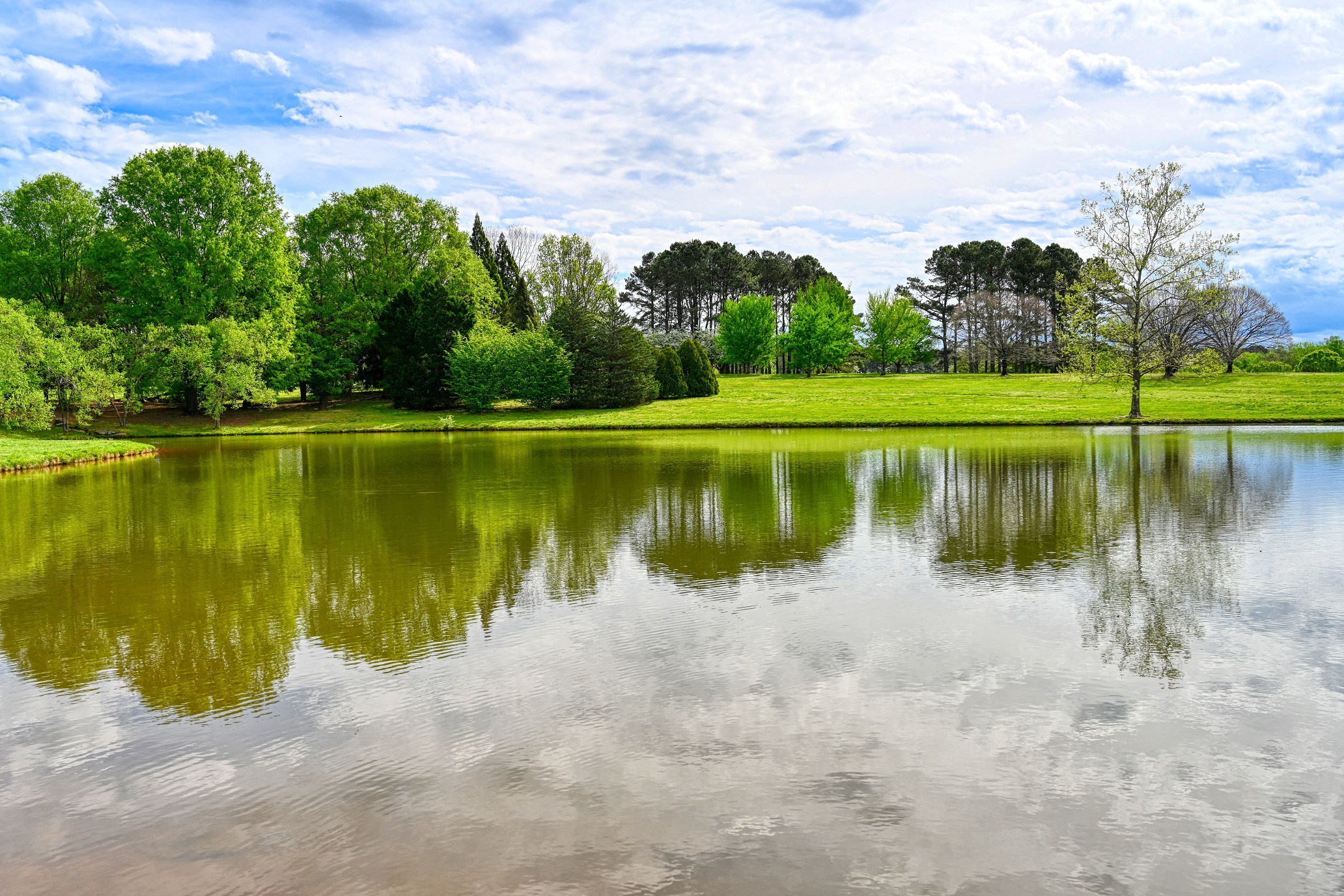 Arboreto Milliken (Nikon Z7 24-70mm F2.8 s )